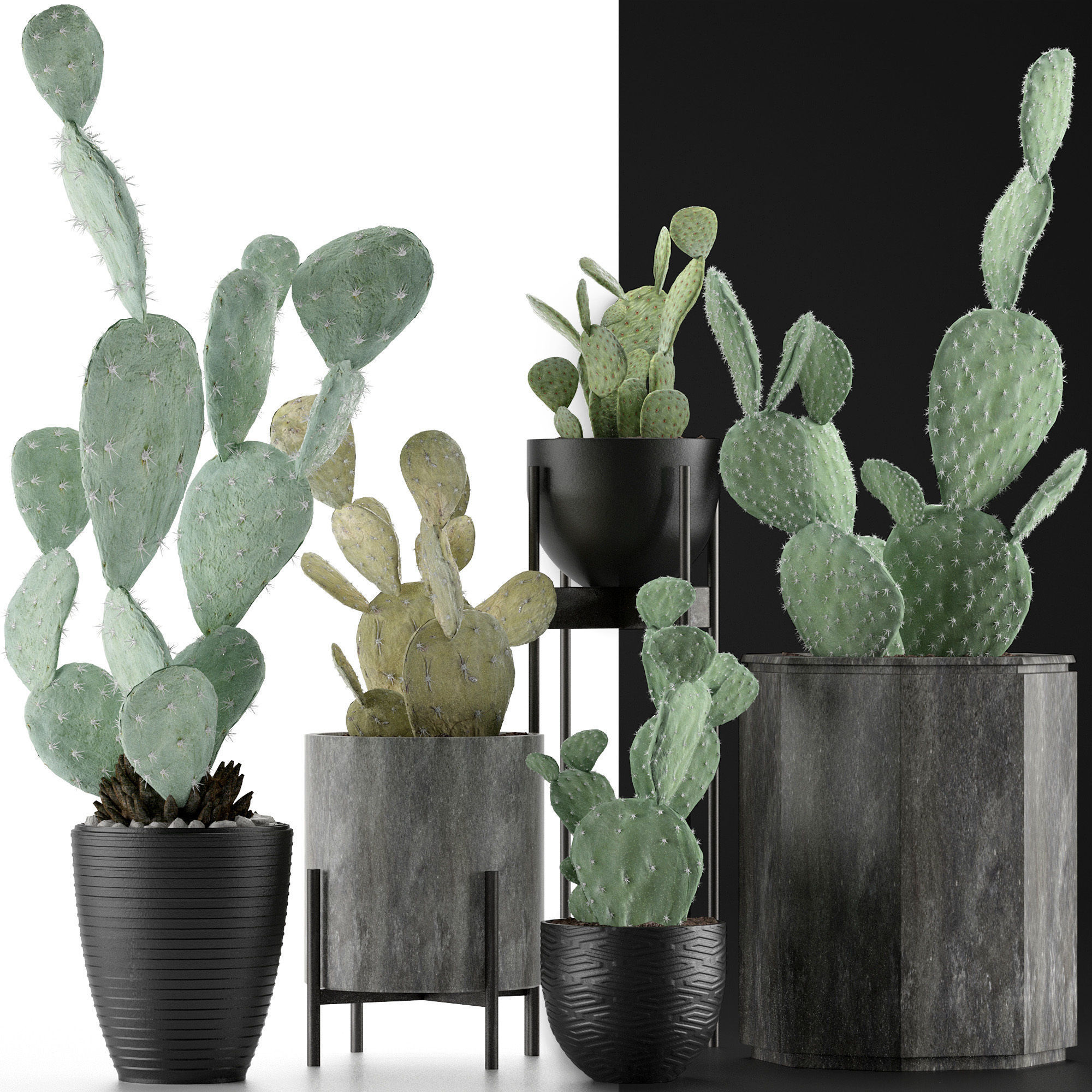 Plants Collection 17 3D model_5