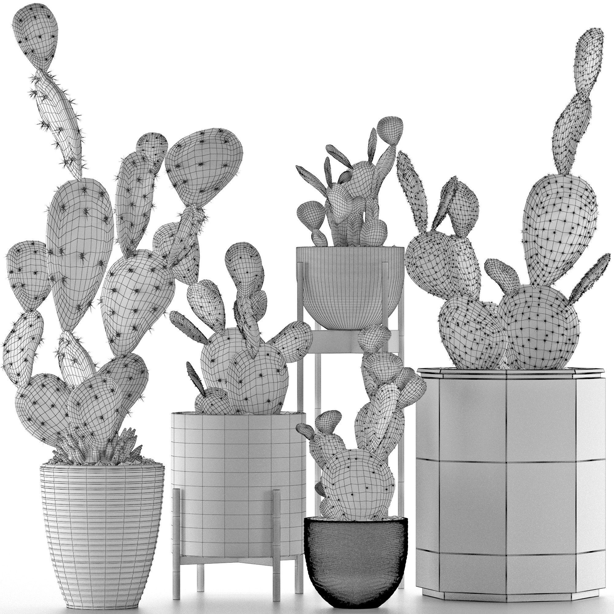 Plants Collection 17 3D model_4