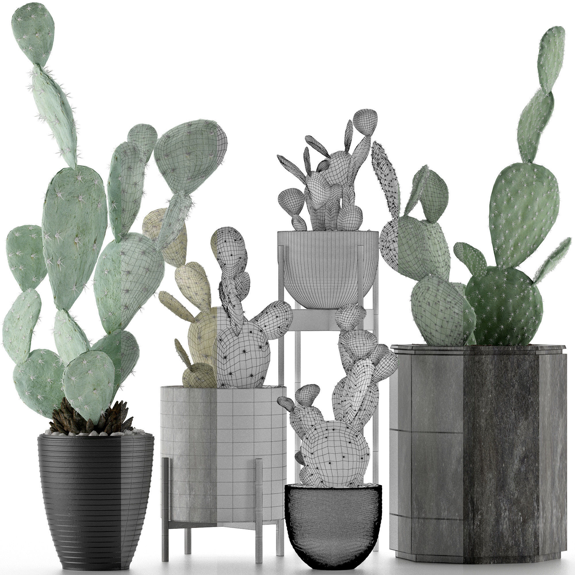 Plants Collection 17 3D model_7