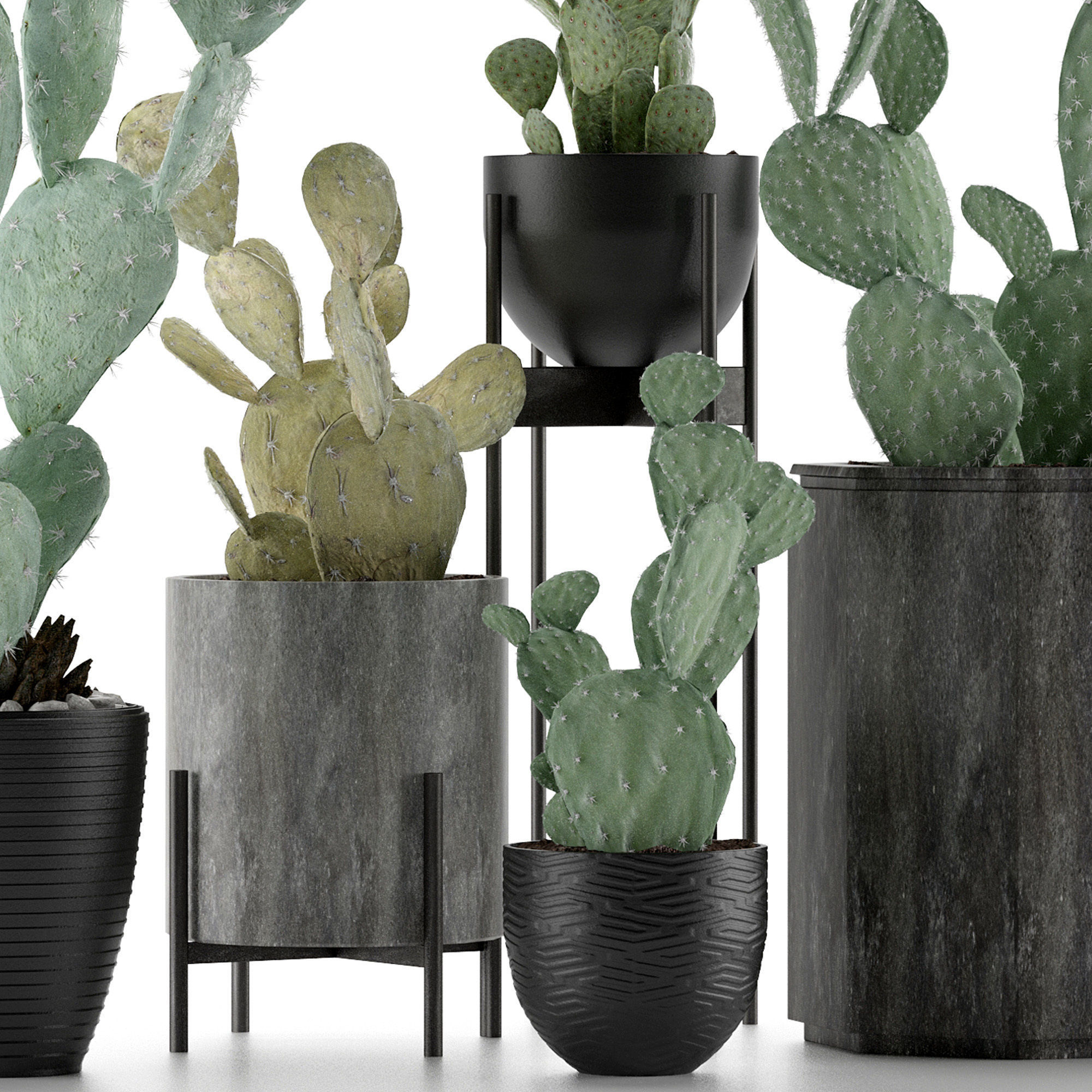 Plants Collection 17 3D model_1