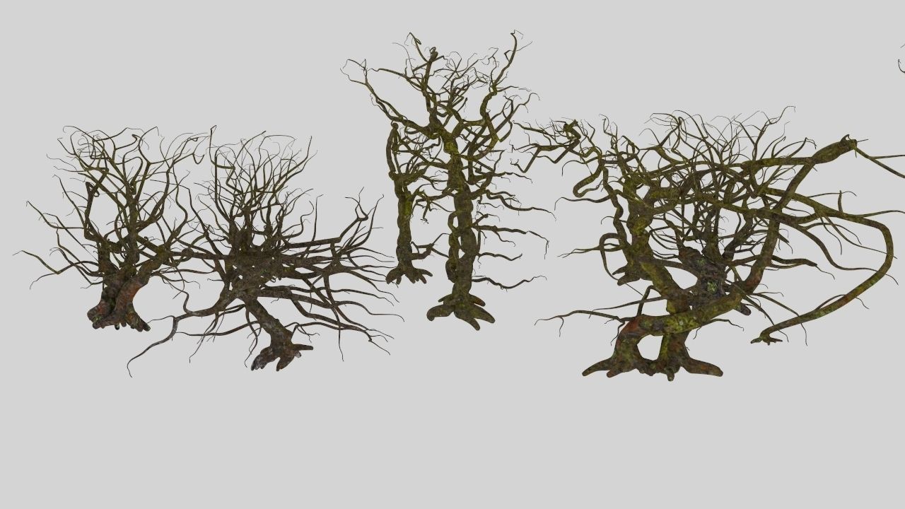 Dead trees 3D model_6
