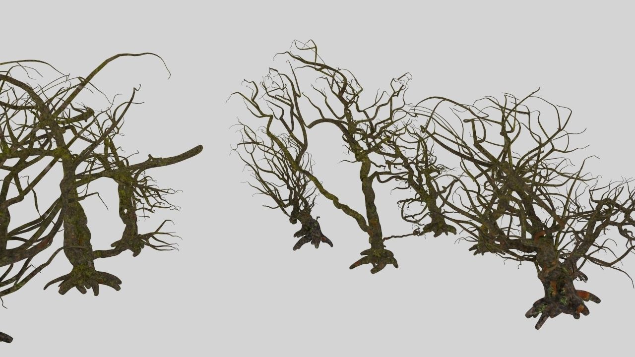 Dead trees 3D model_5