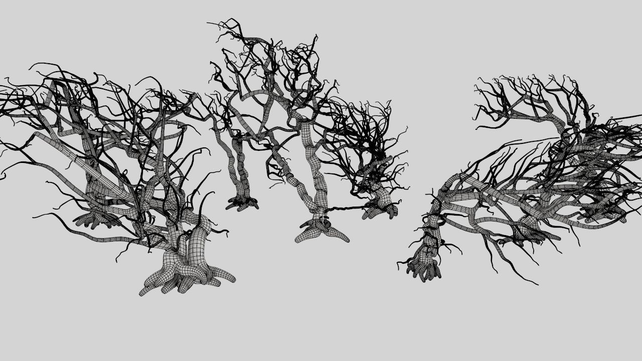 Dead trees 3D model_12
