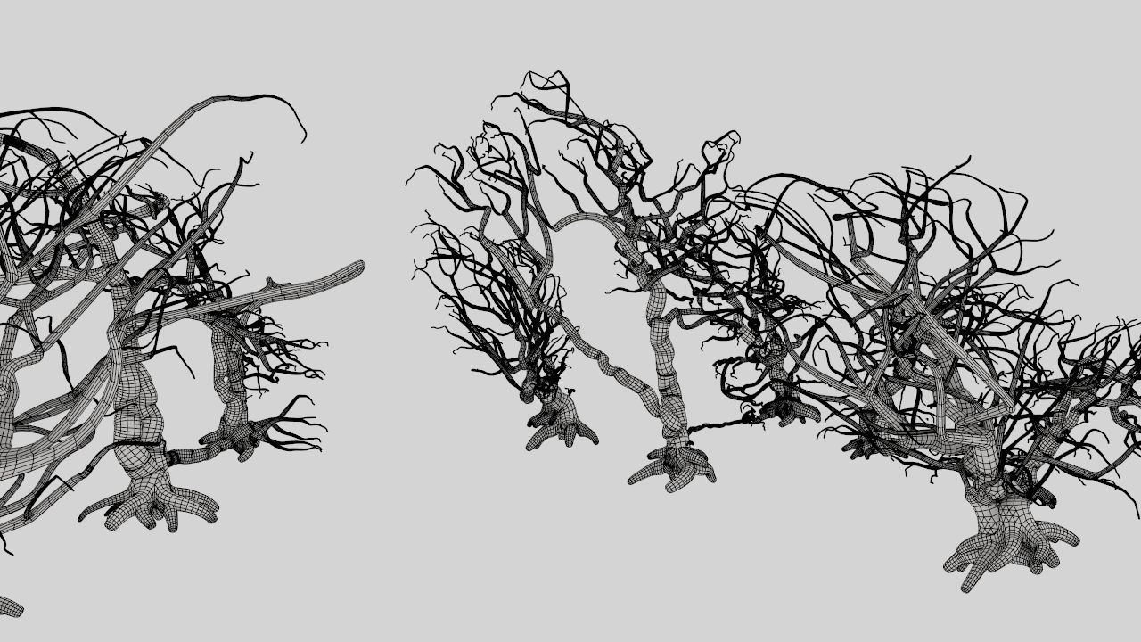 Dead trees 3D model_17