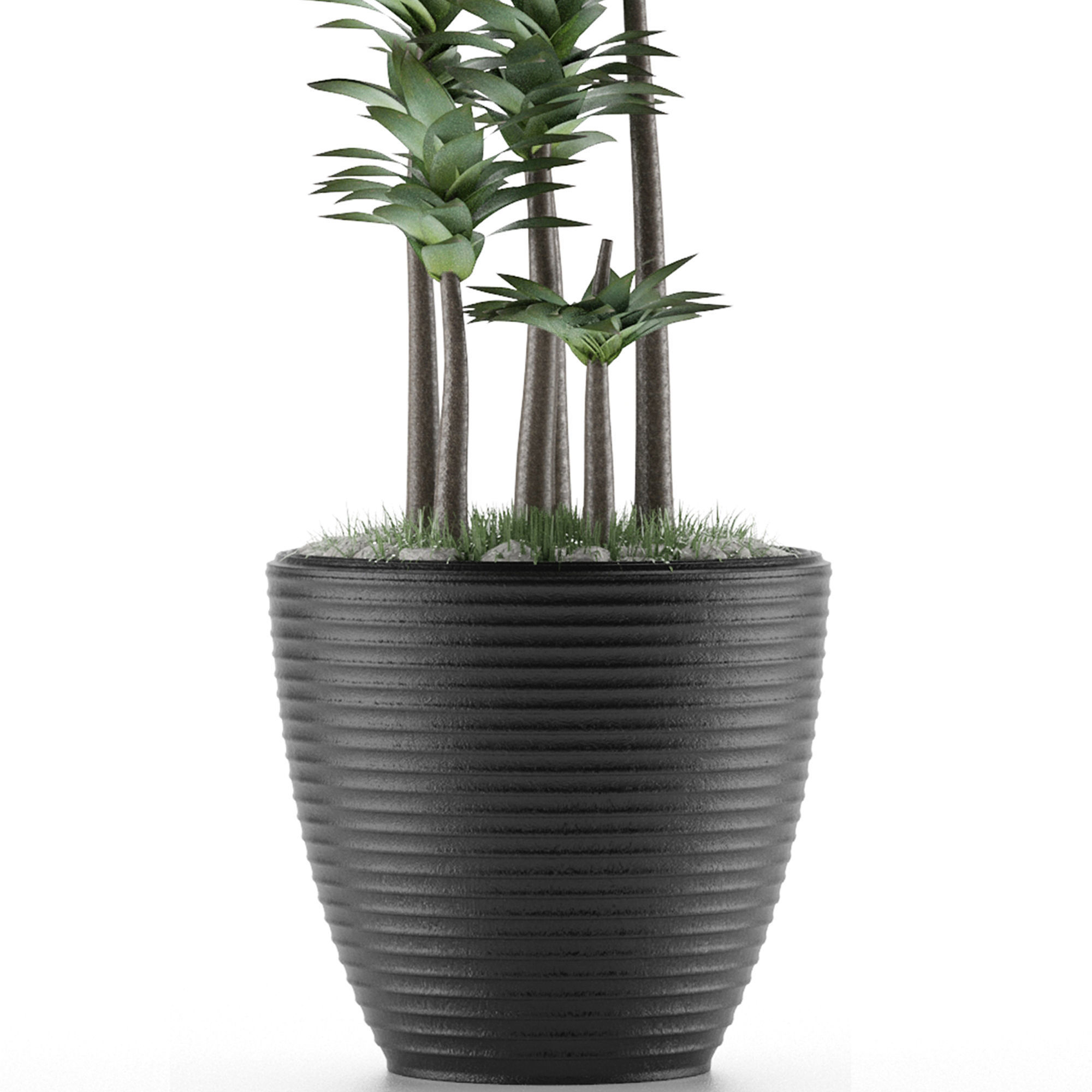 House Plant 19 3D model_2