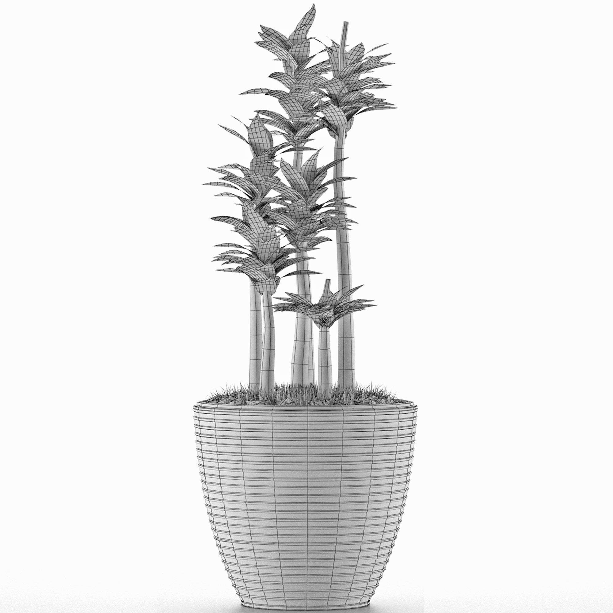 House Plant 19 3D model_4