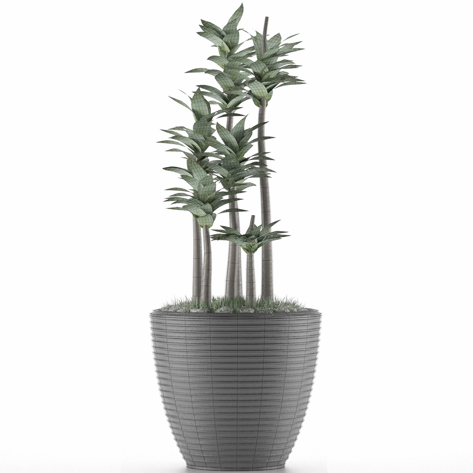 House Plant 19 3D model_5