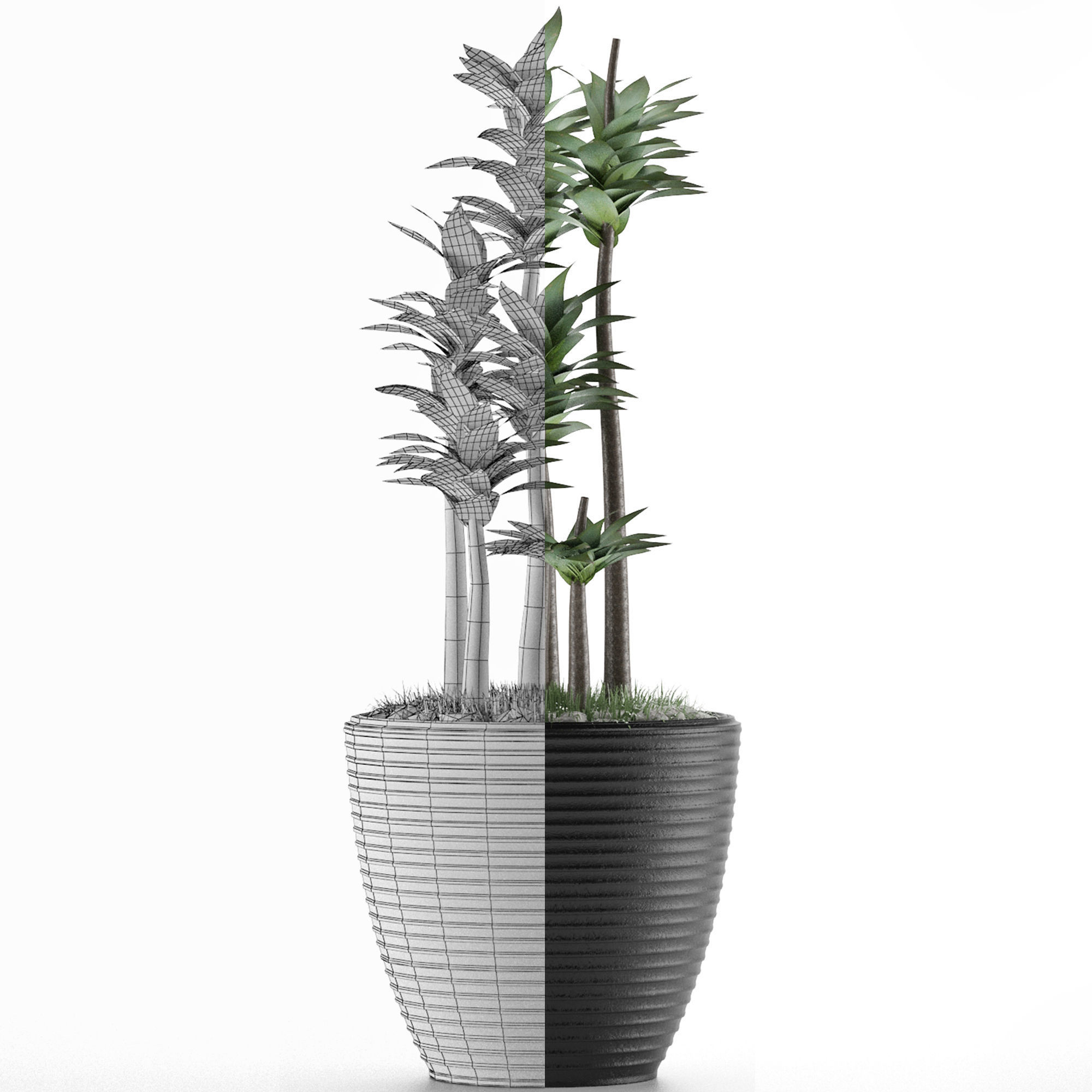 House Plant 19 3D model_6
