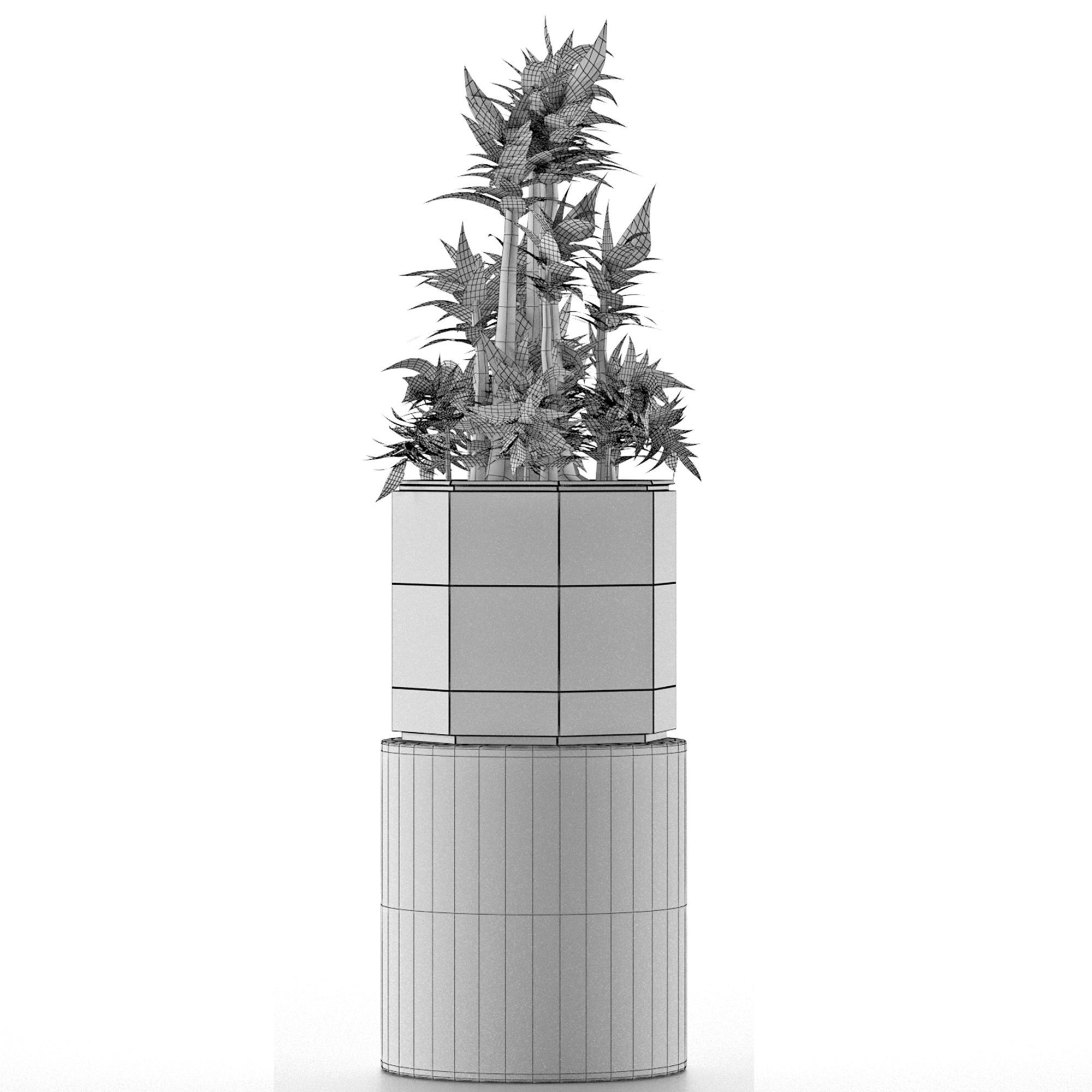 House Plant 20 3D model_9