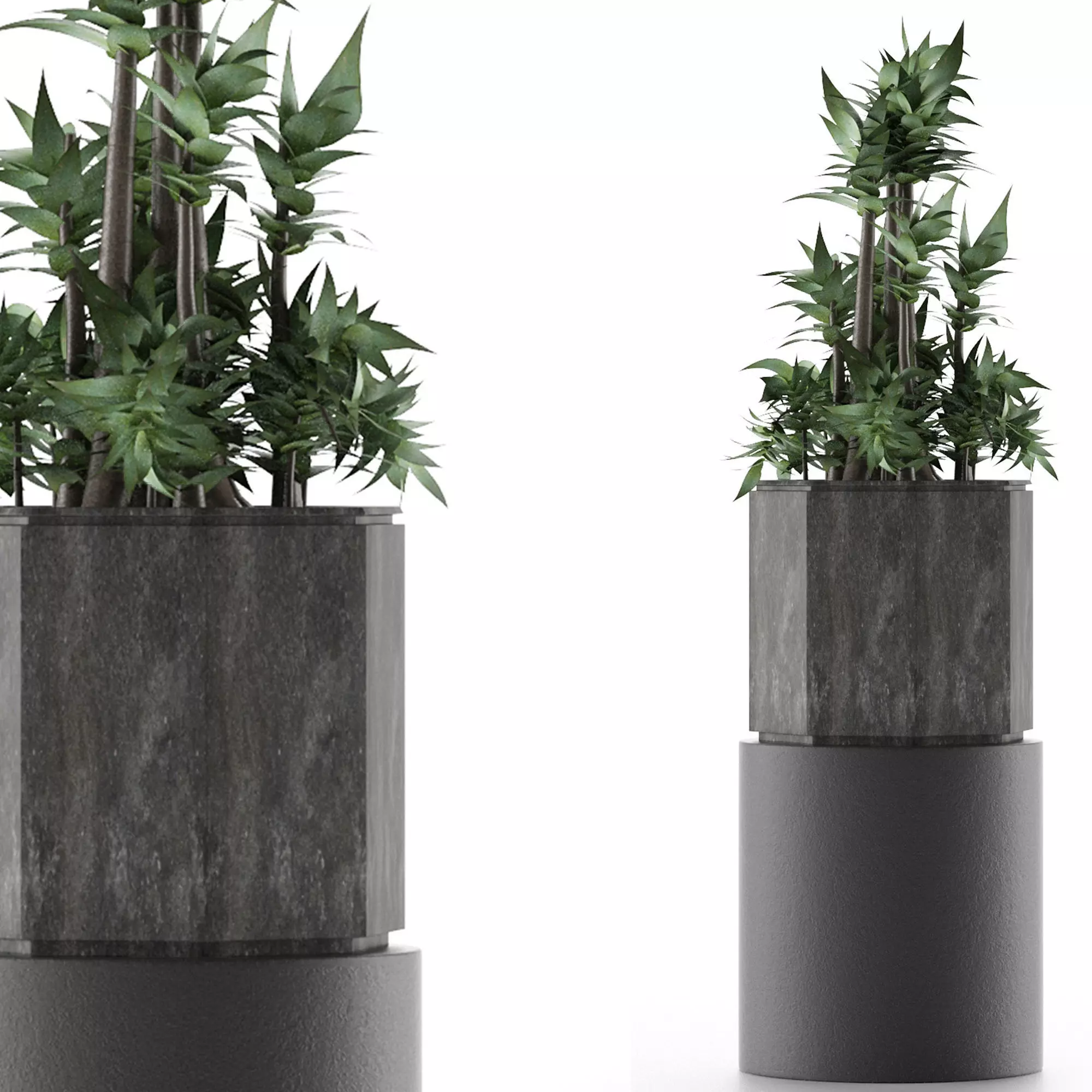 House Plant 20 3D model_0