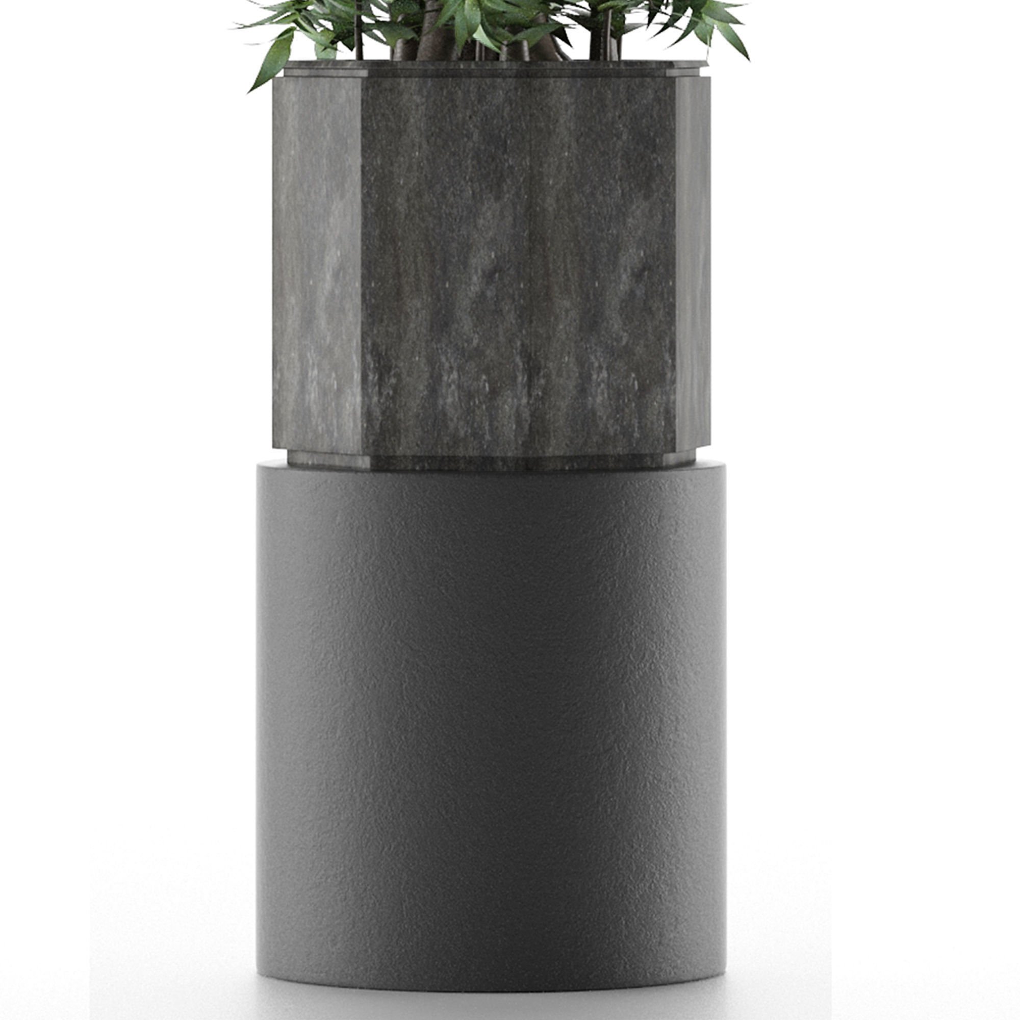 House Plant 20 3D model_1