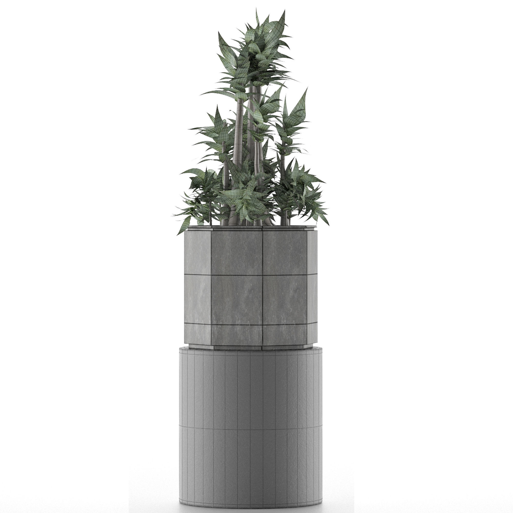 House Plant 20 3D model_2