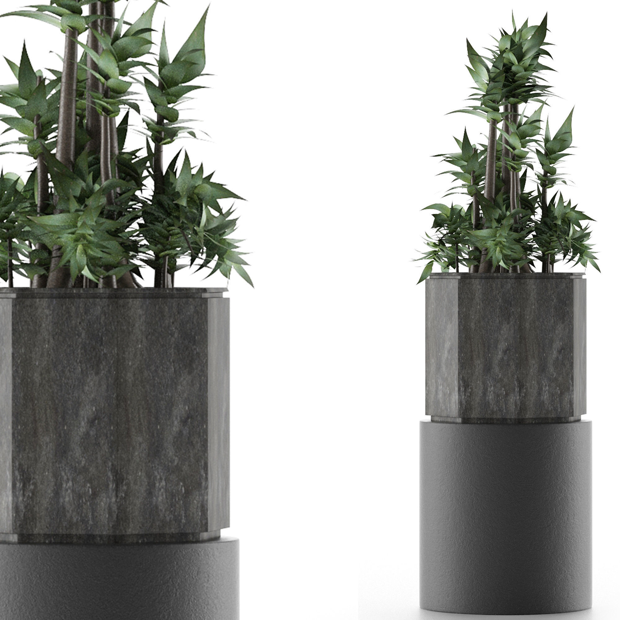 House Plant 20 3D model_4