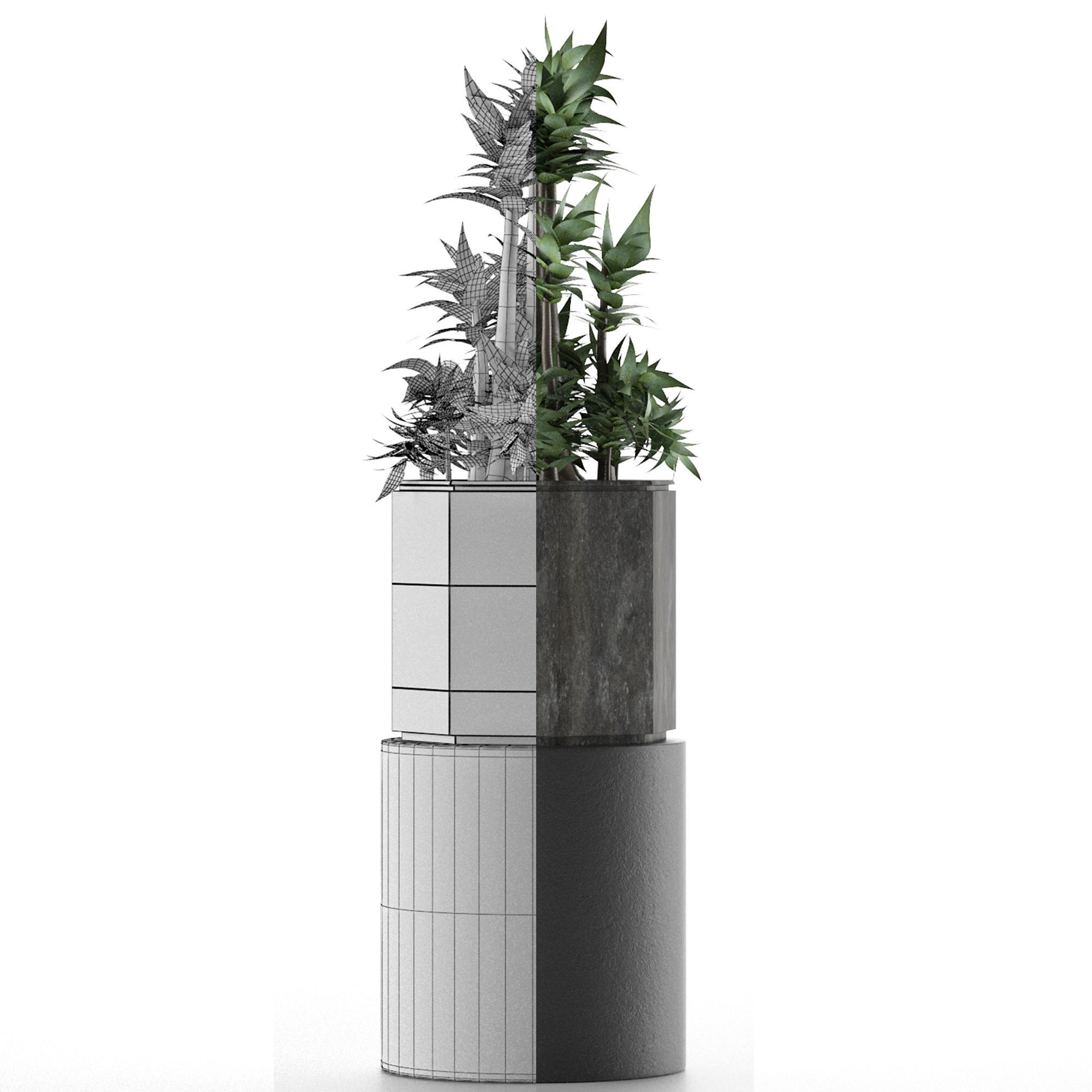 House Plant 20 3D model_6