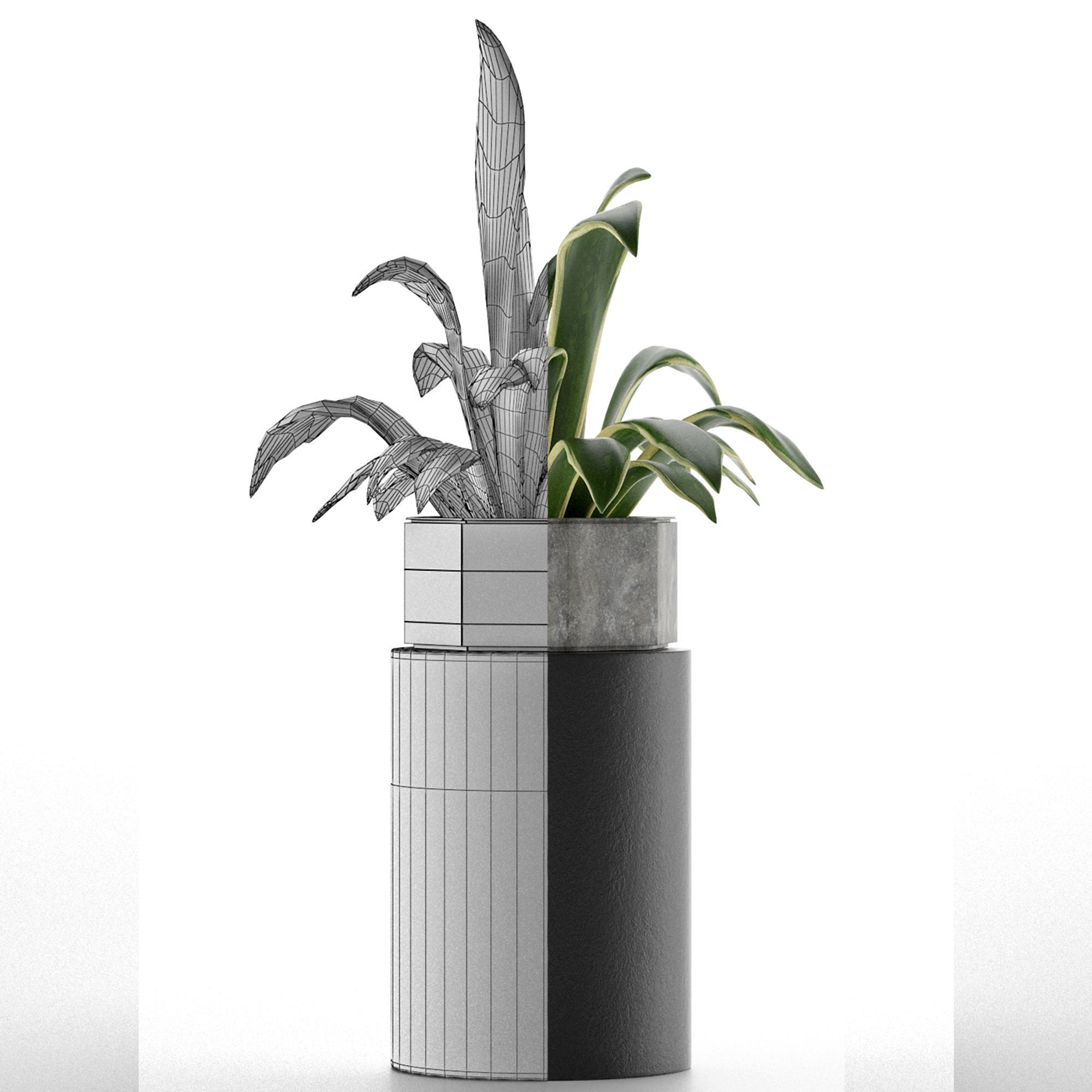 House Plant 26 3D model_6