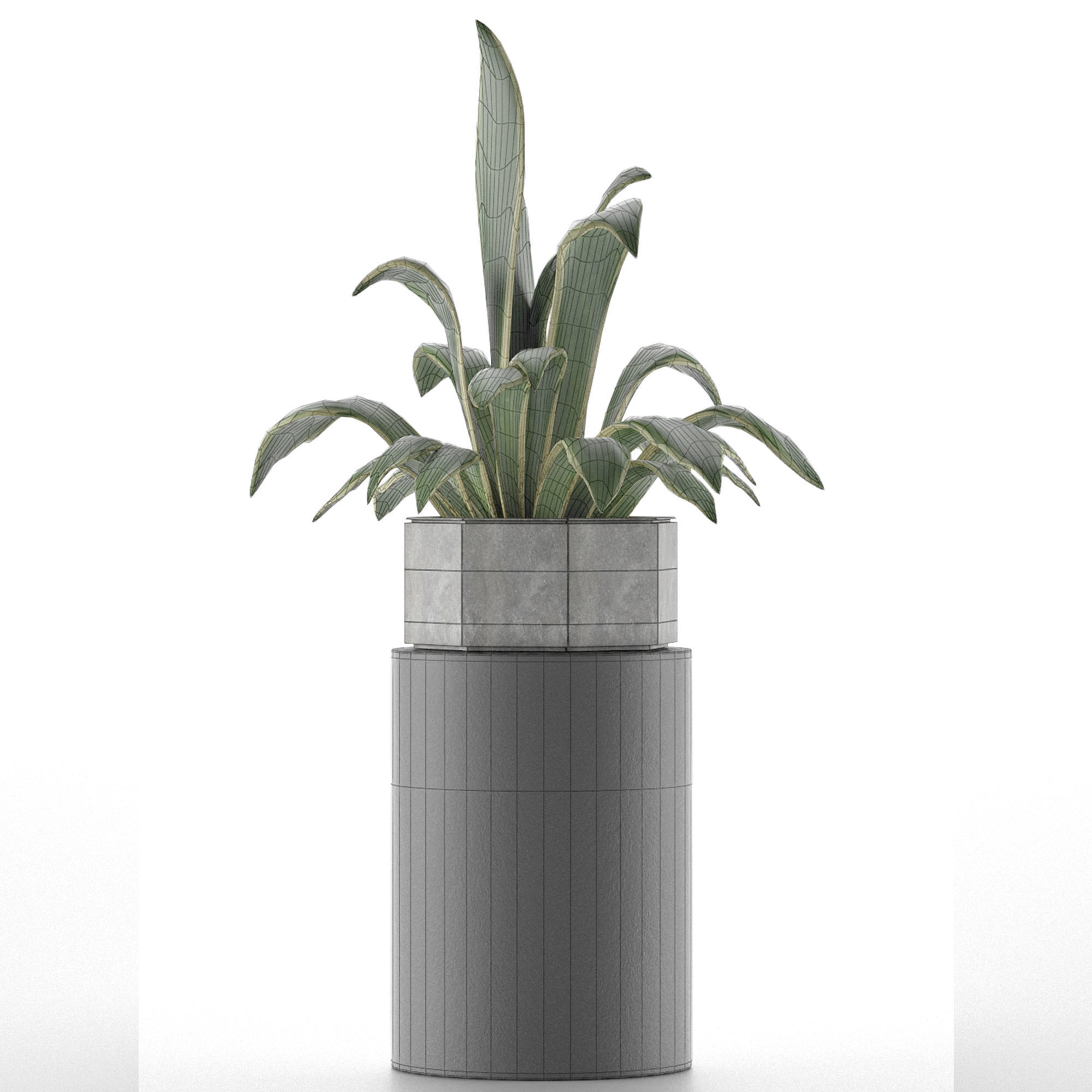 House Plant 26 3D model_5