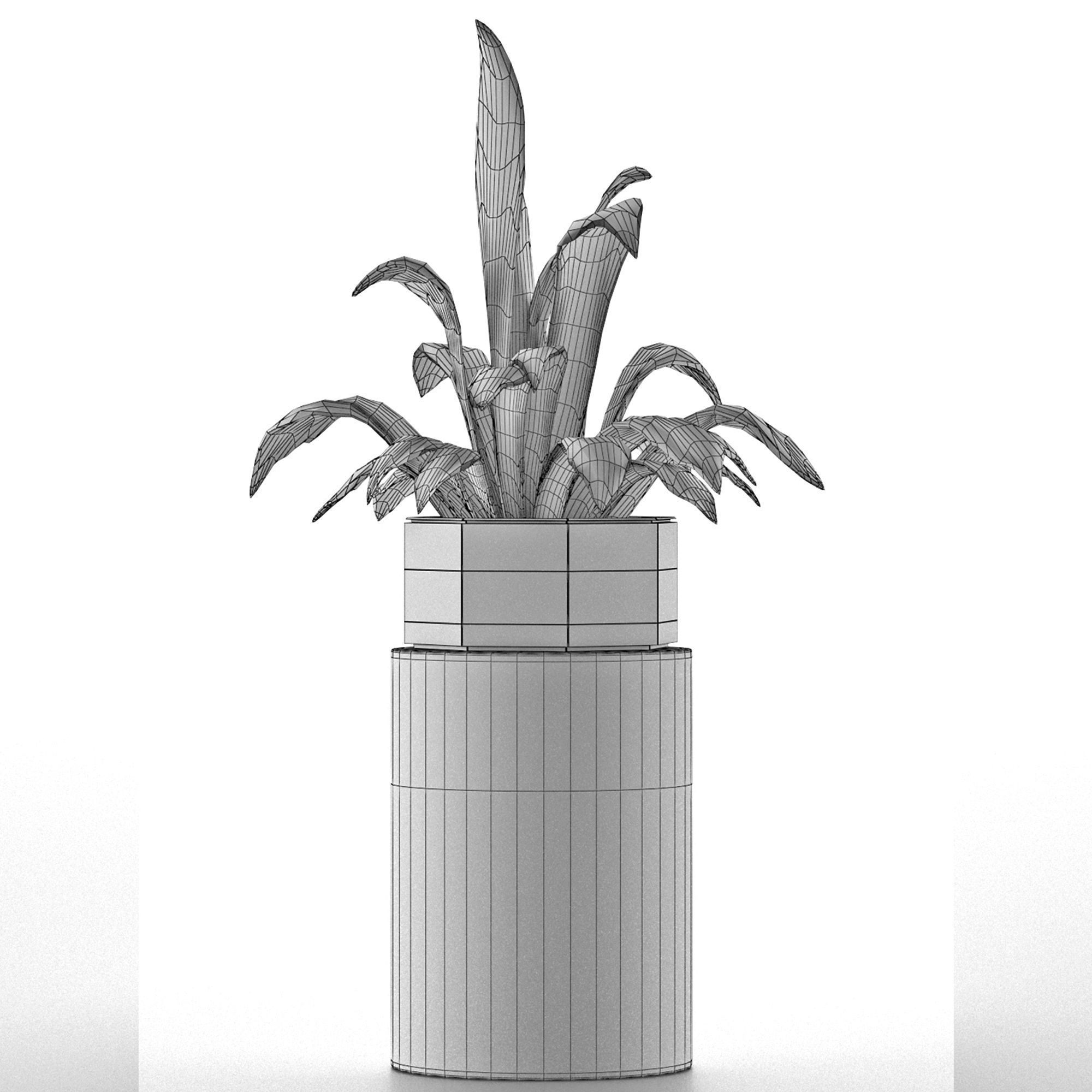 House Plant 26 3D model_4