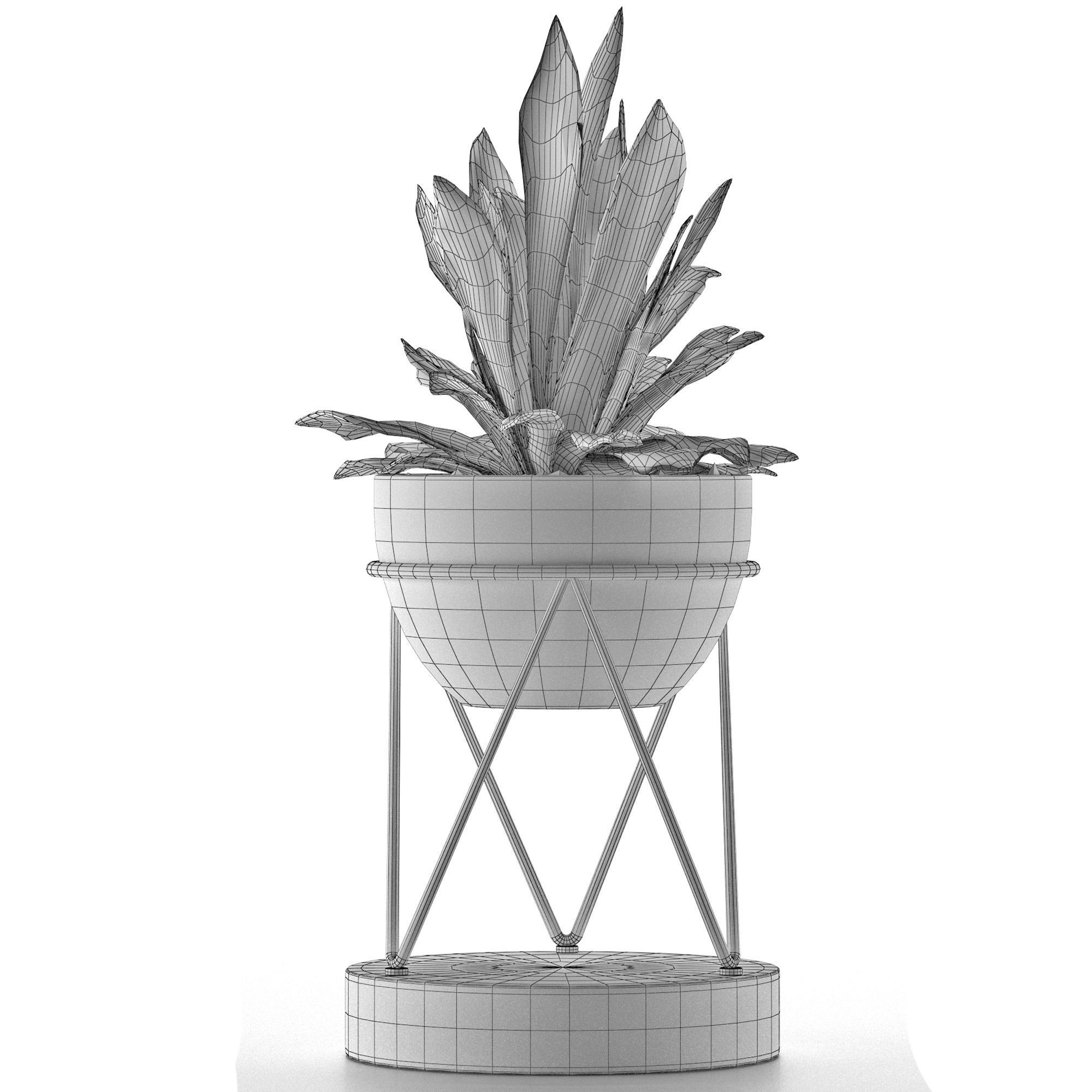 House Plant 27 3D model_4