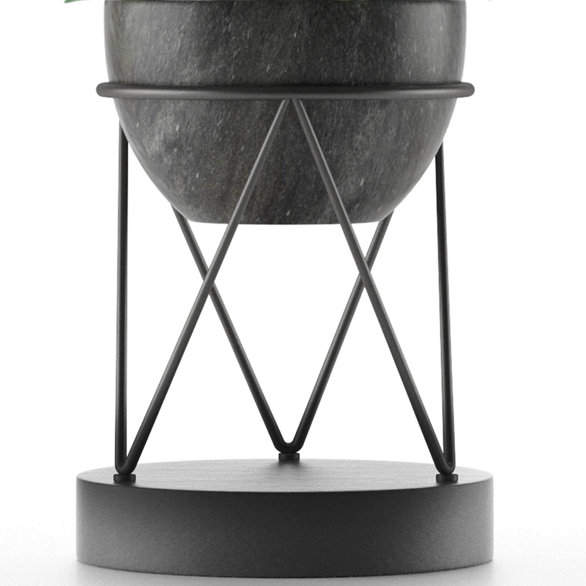 House Plant 27 3D model_2