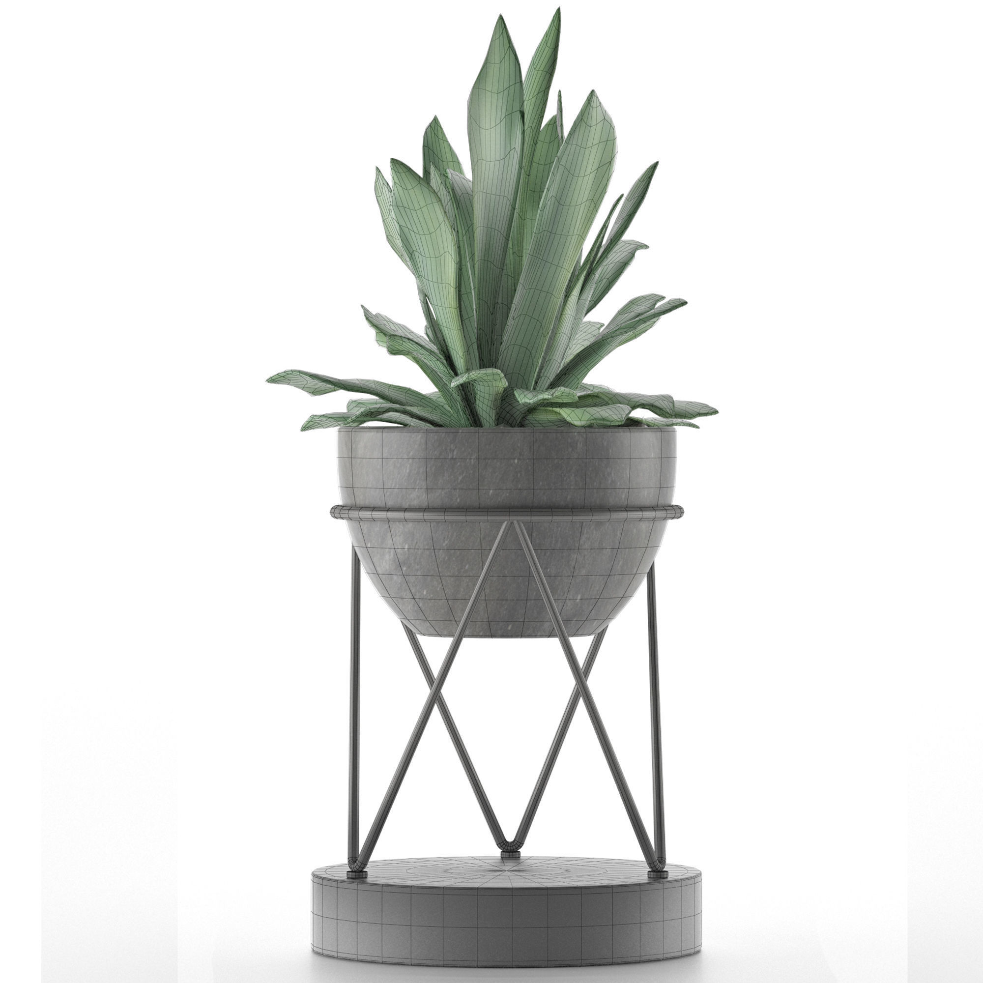House Plant 27 3D model_5