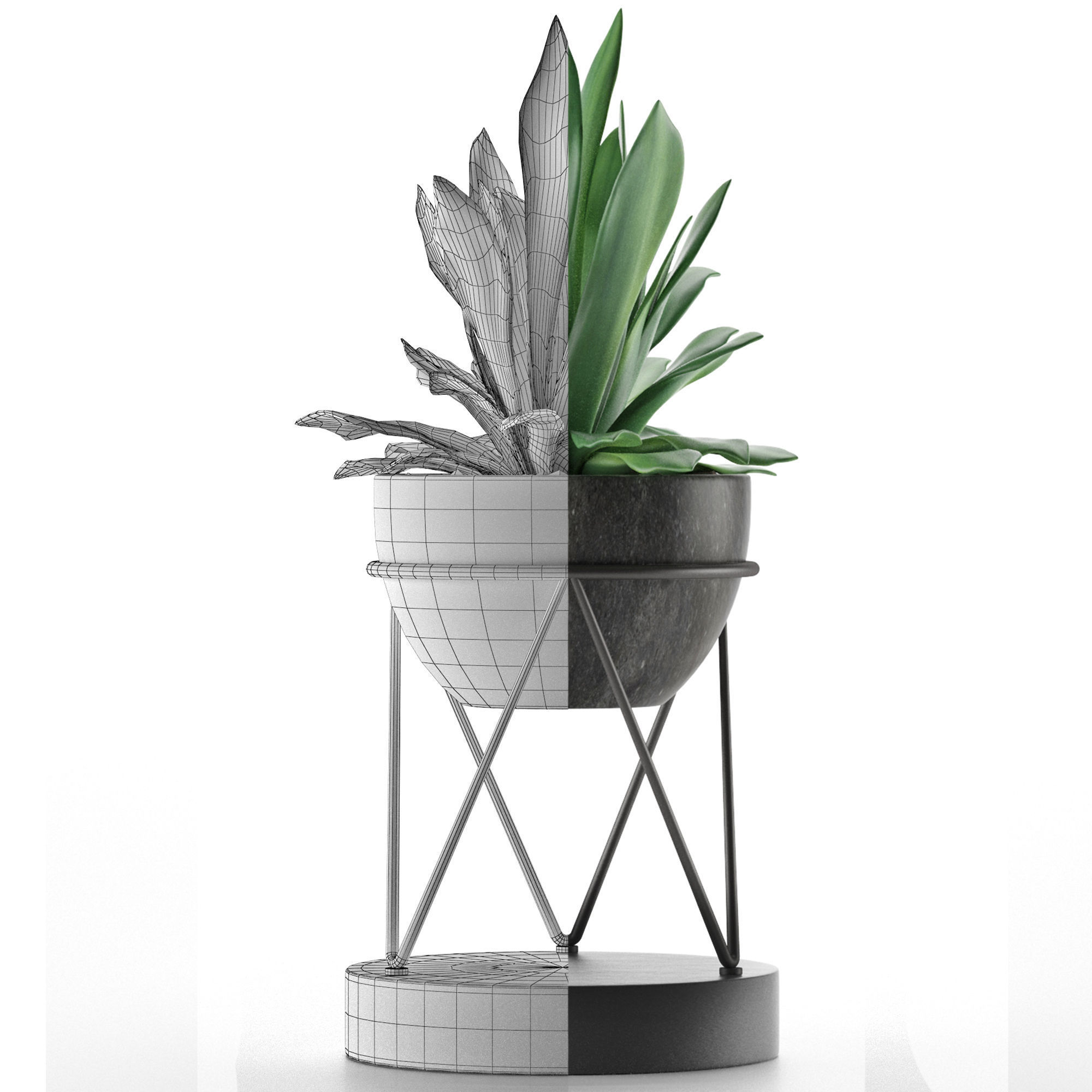 House Plant 27 3D model_6