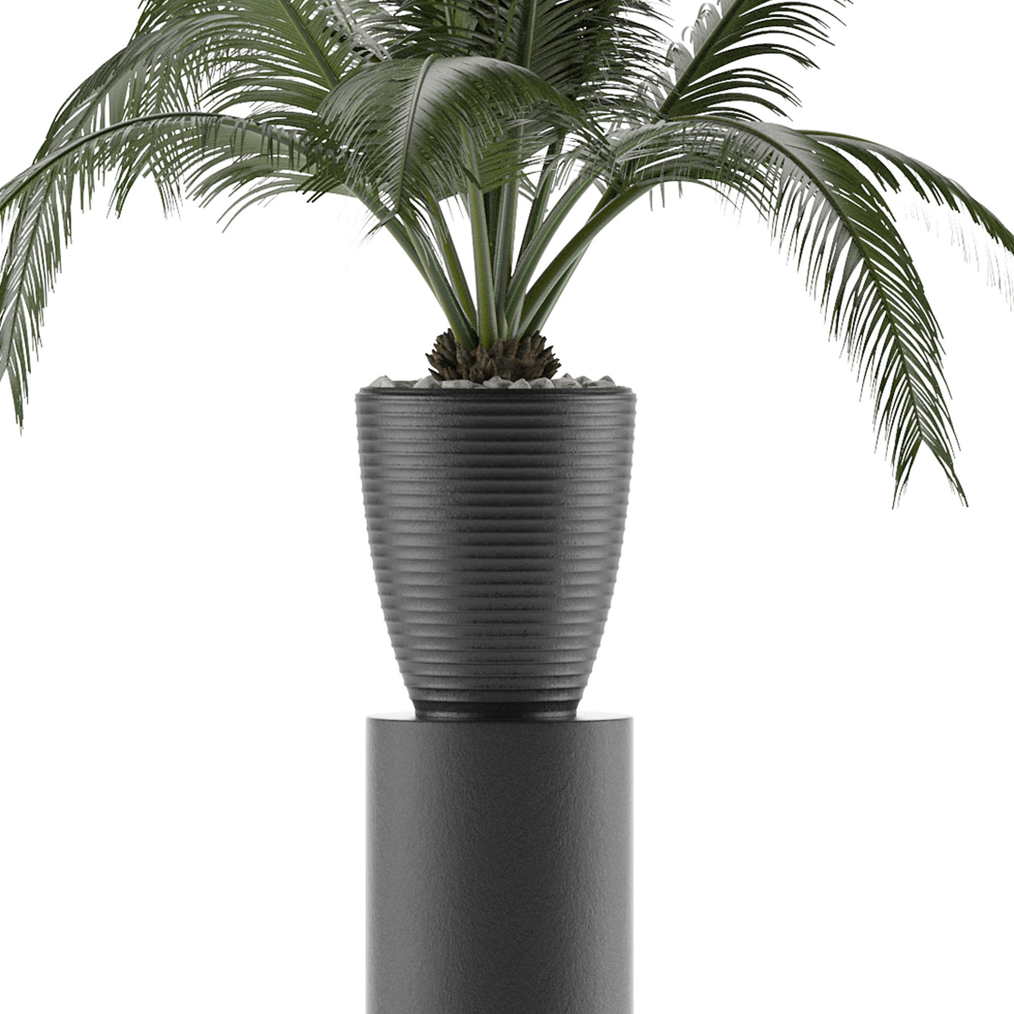 House Plant 29 3D model_2