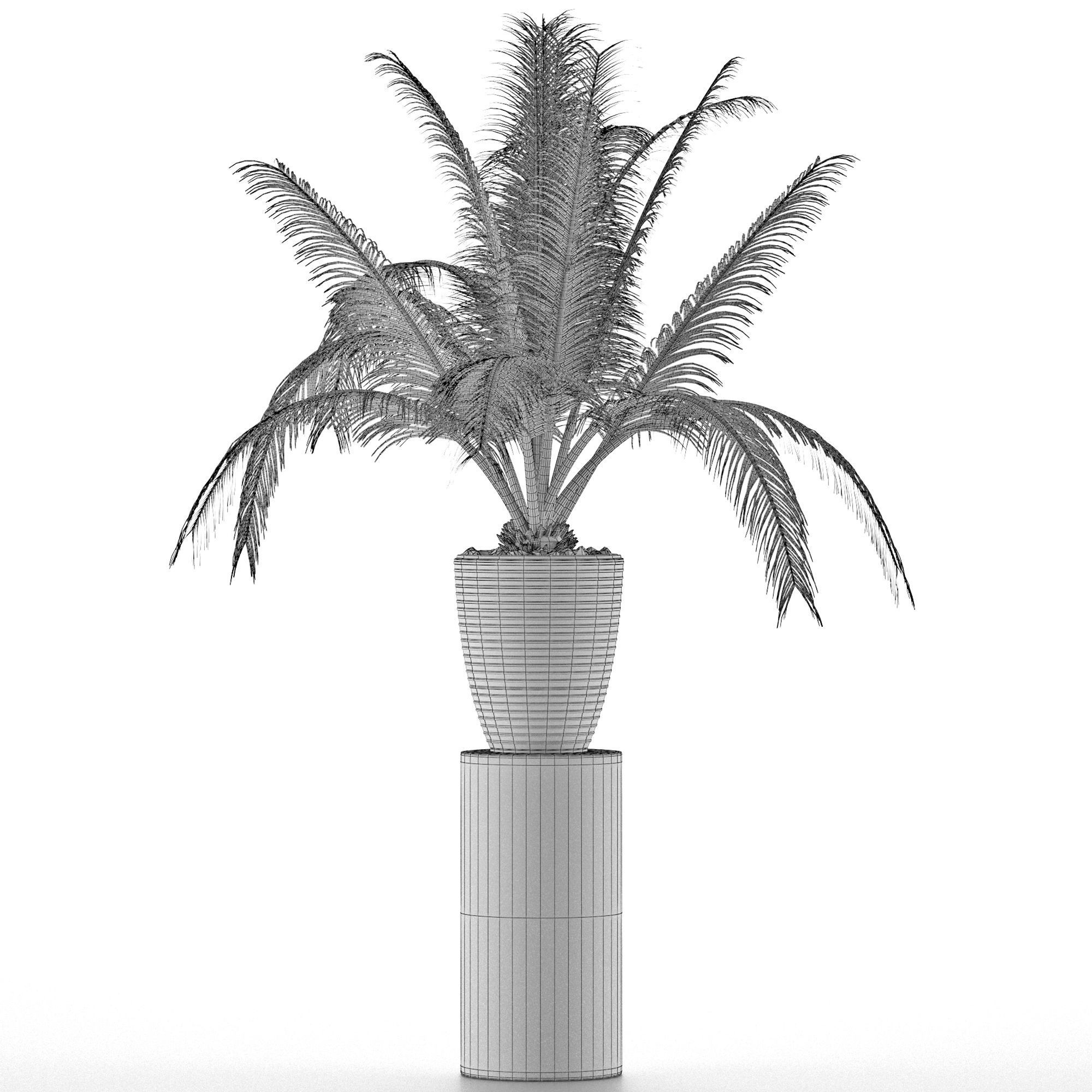 House Plant 29 3D model_4