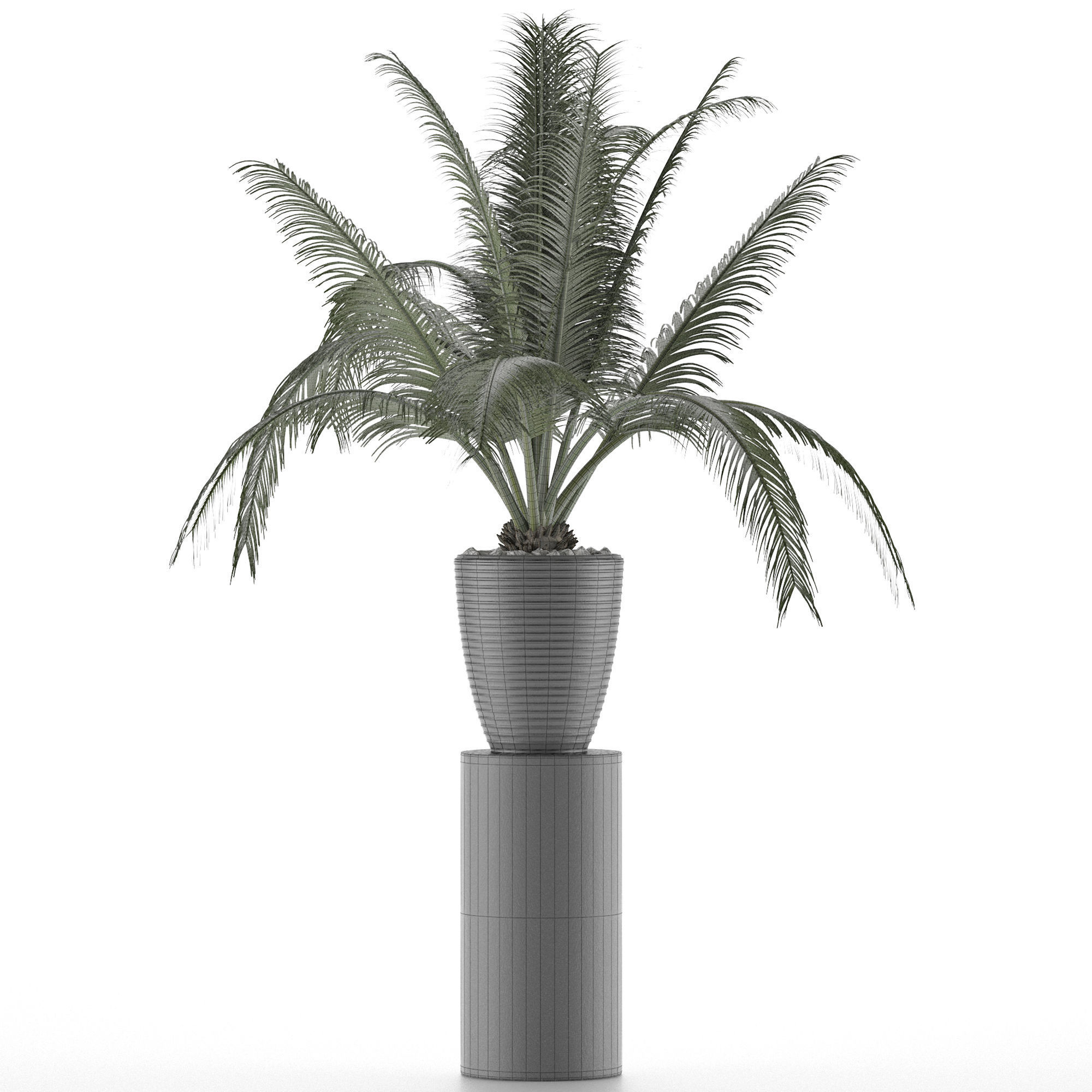 House Plant 29 3D model_5