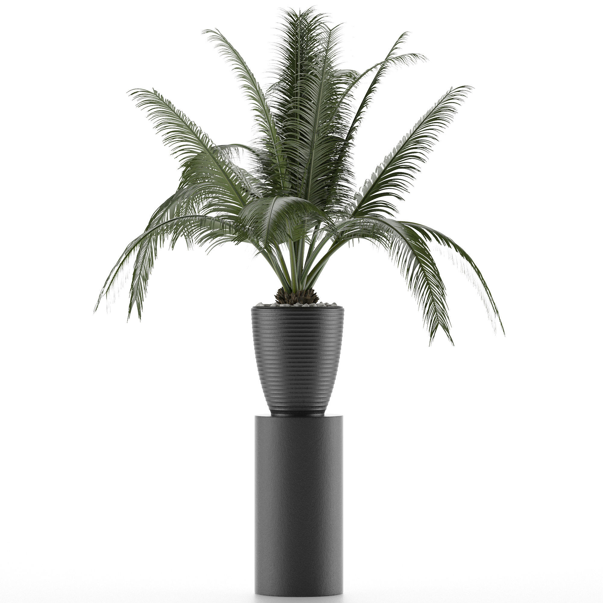 House Plant 29 3D model_1