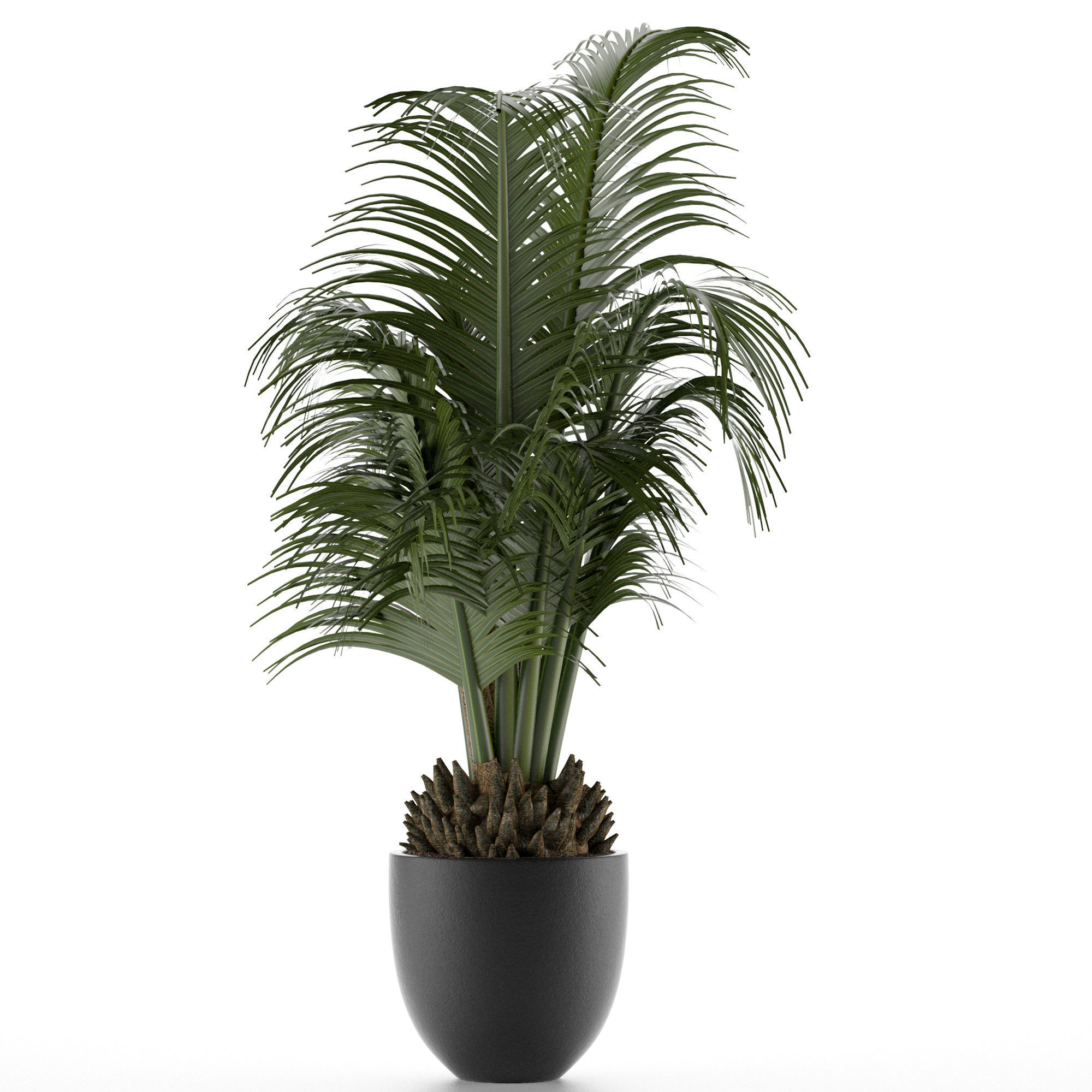 House Plant 30 3D model_1