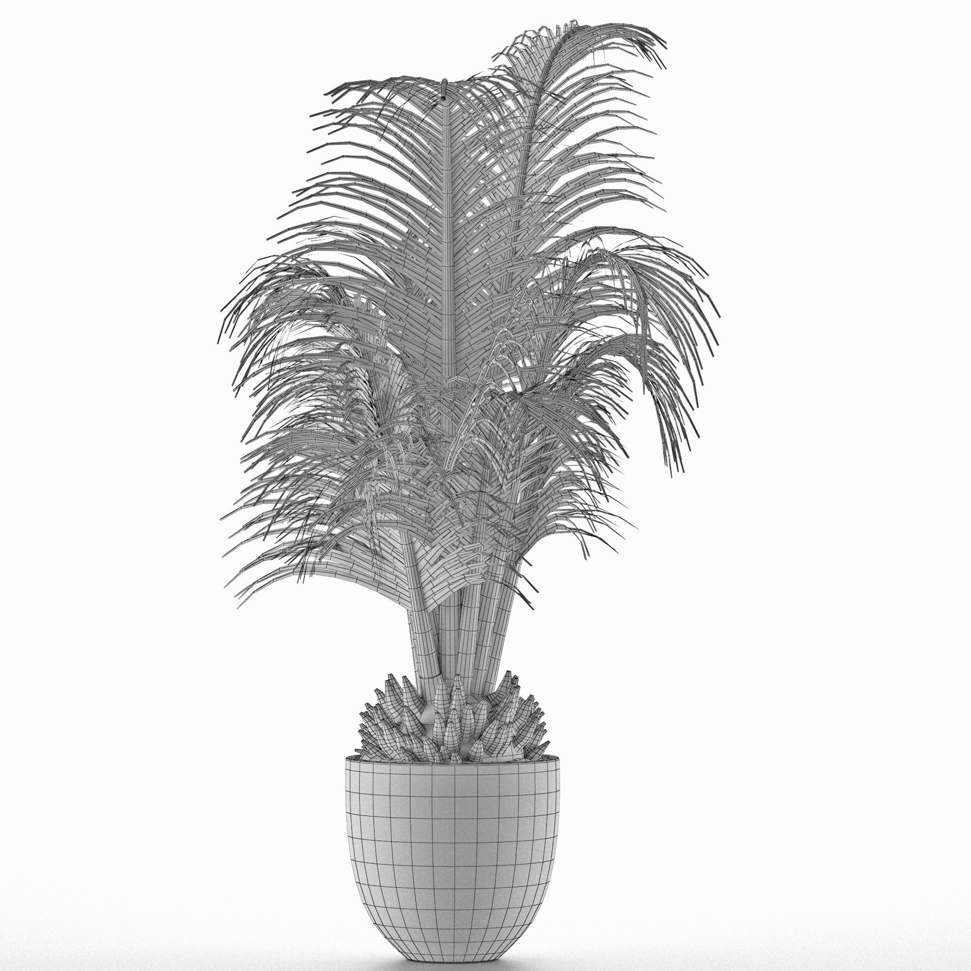 House Plant 30 3D model_4