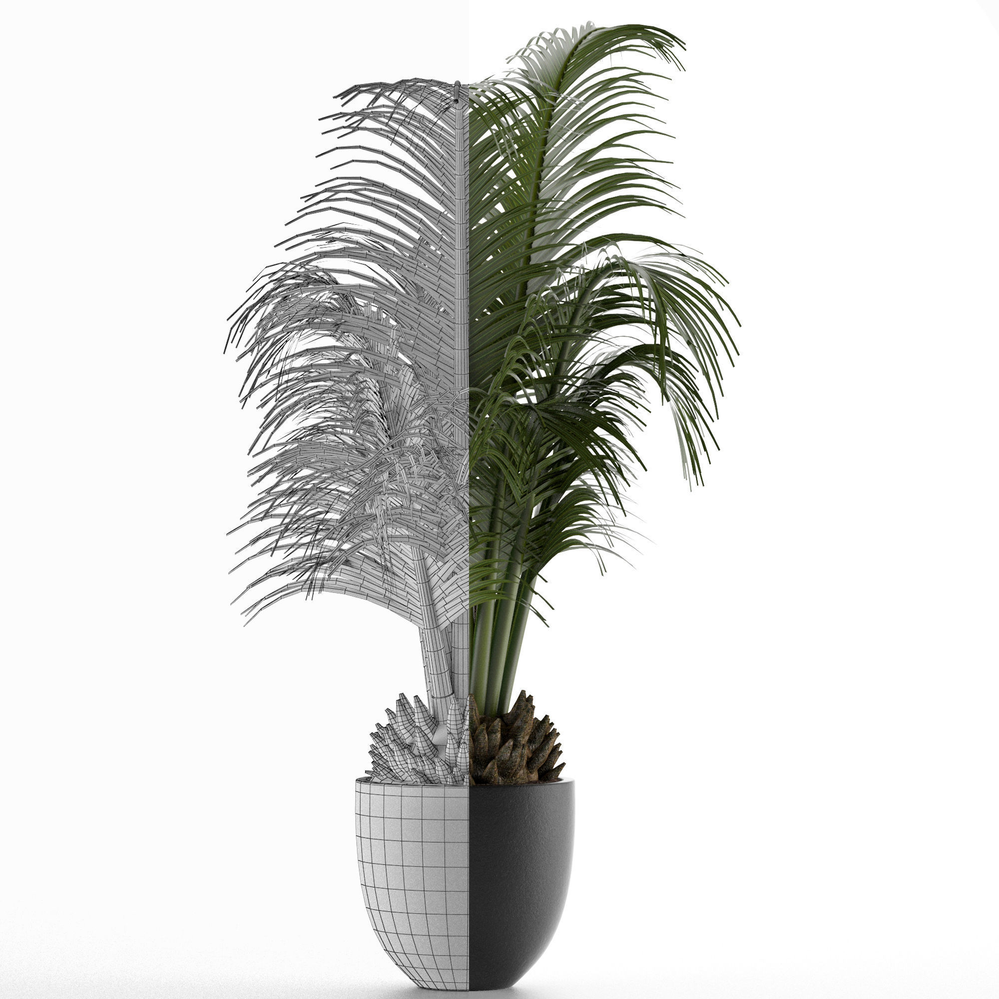 House Plant 30 3D model_6
