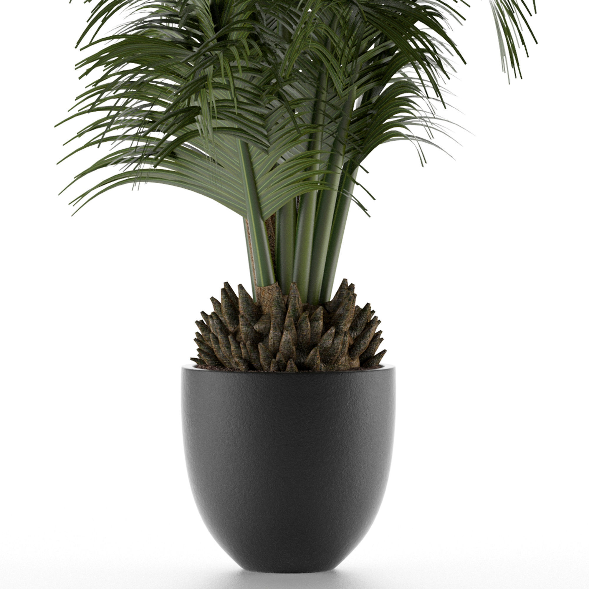 House Plant 30 3D model_2