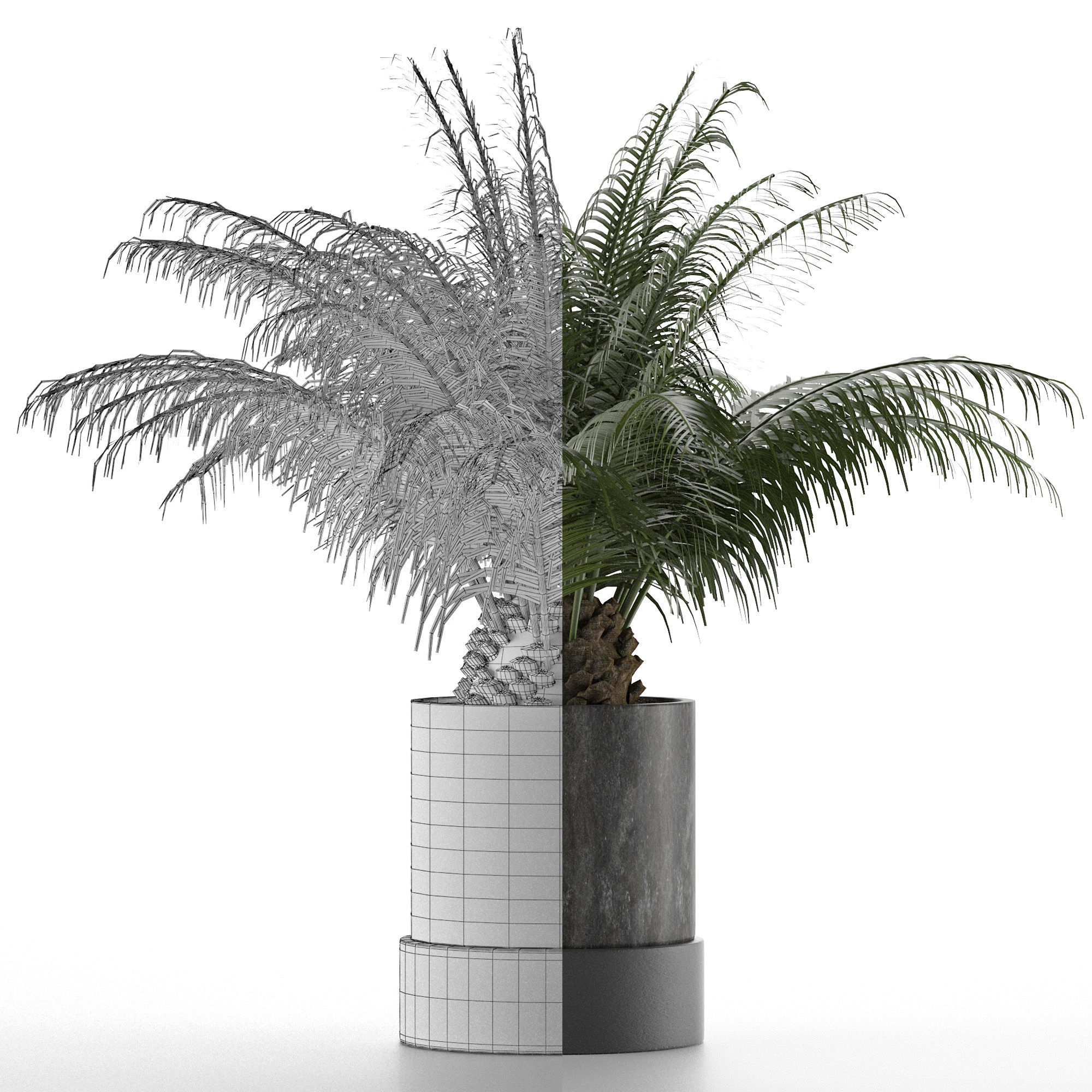 House Plant 32 3D model_6