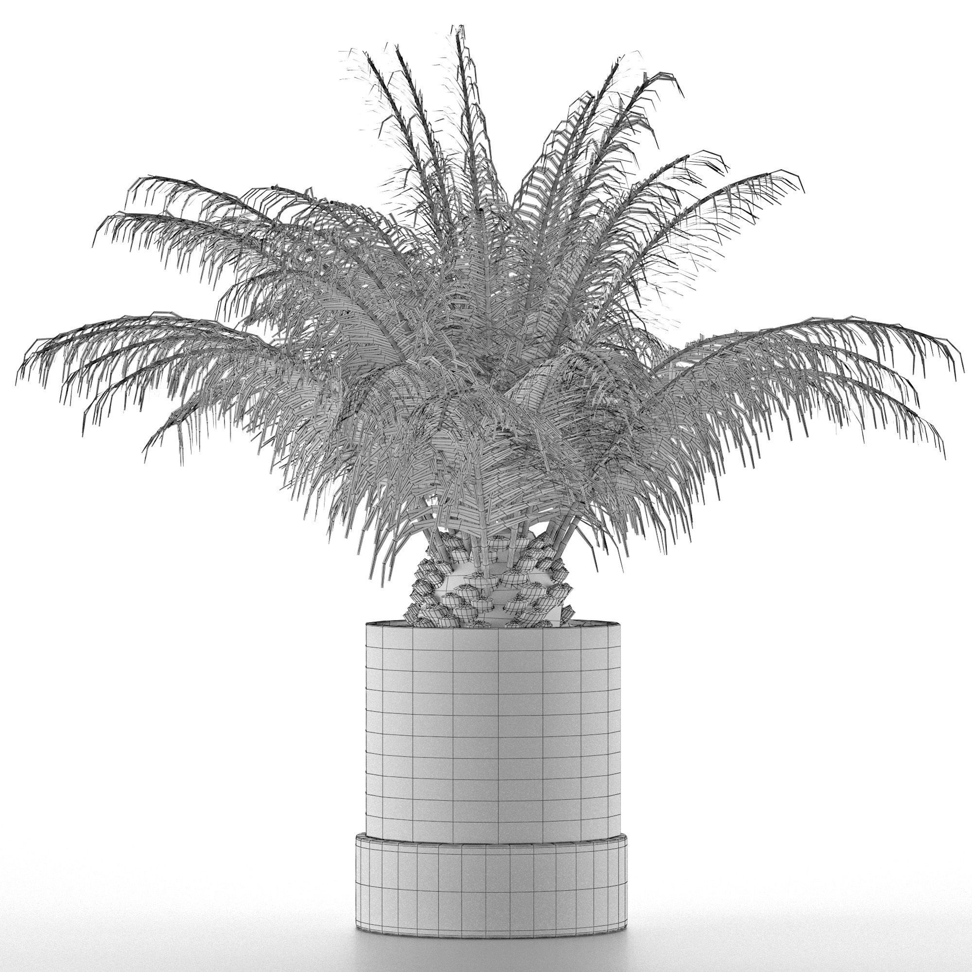 House Plant 32 3D model_4