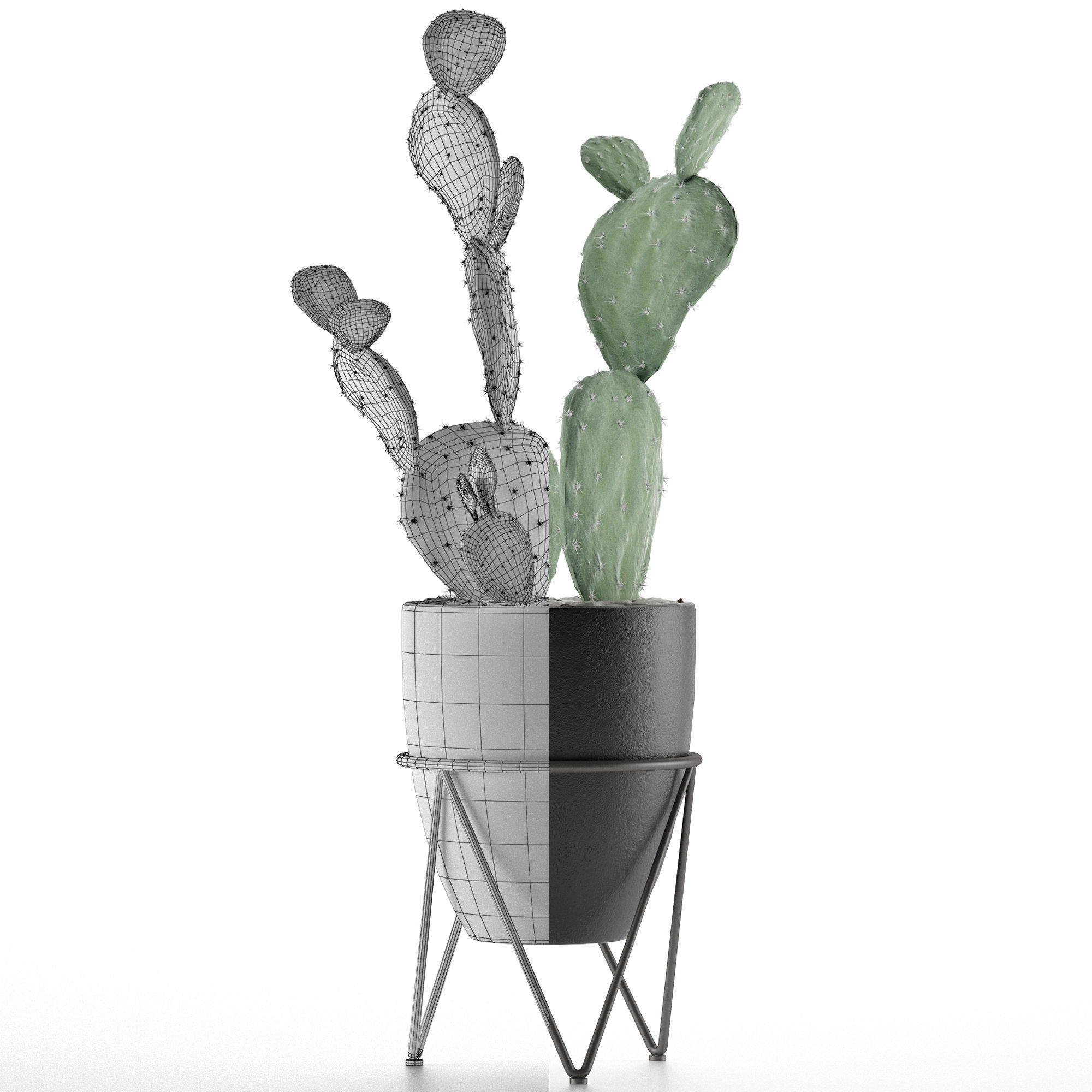 House Plant 33 3D model_6