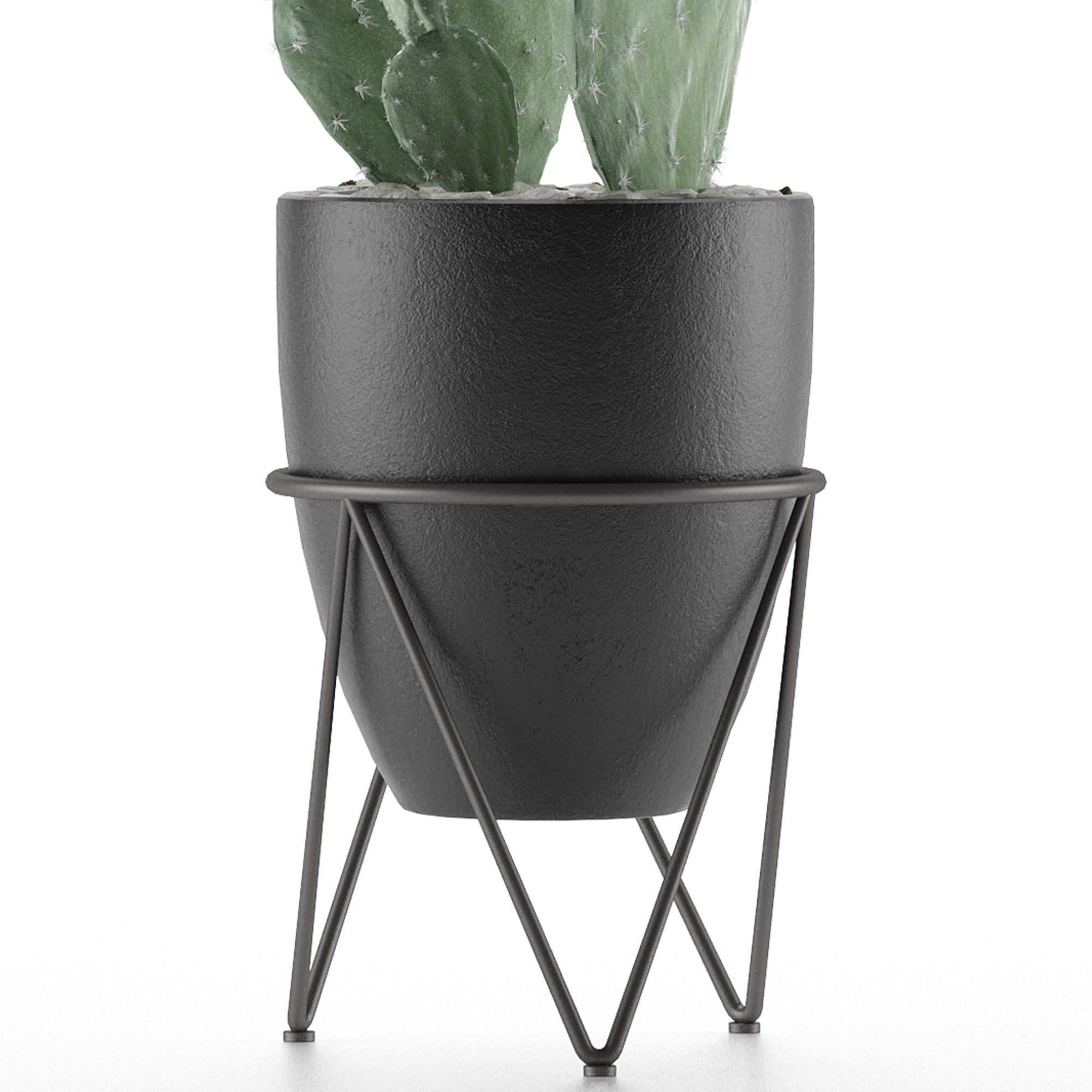 House Plant 33 3D model_2