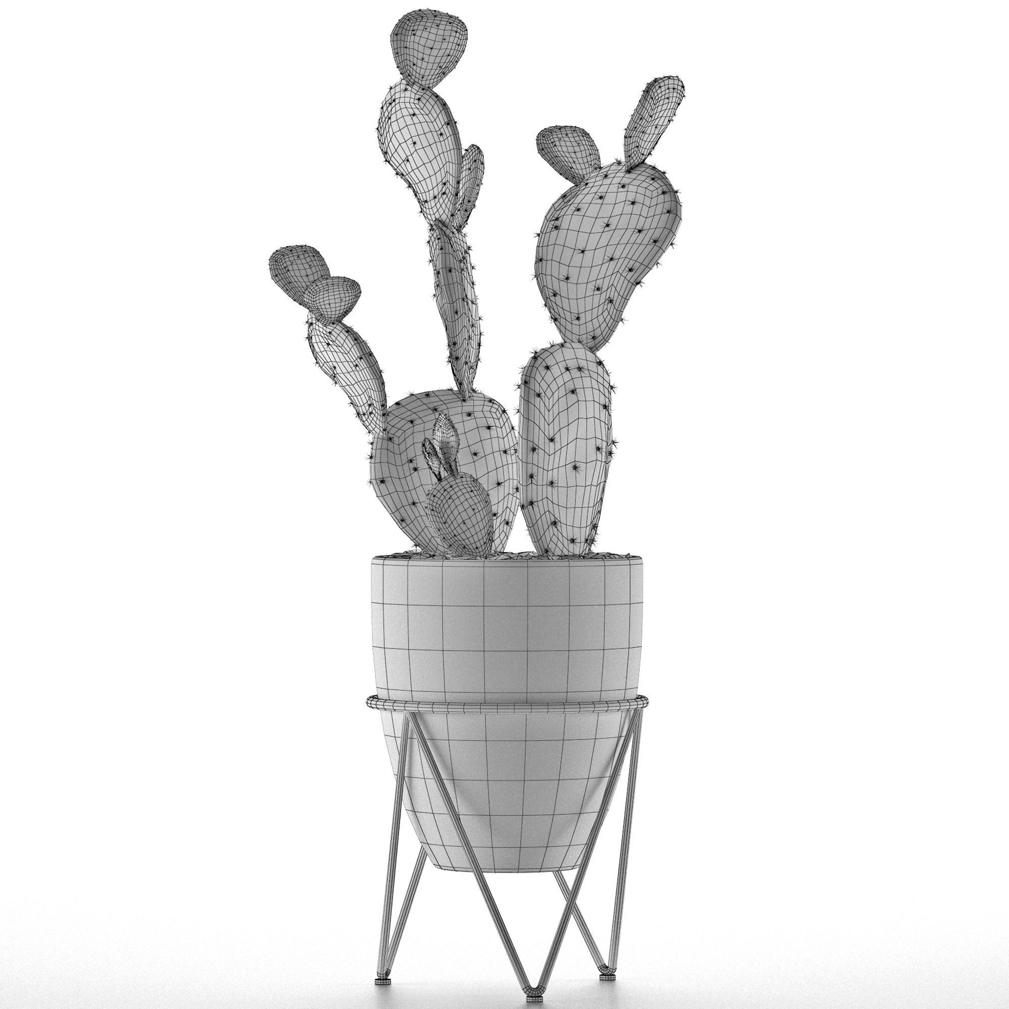 House Plant 33 3D model_4
