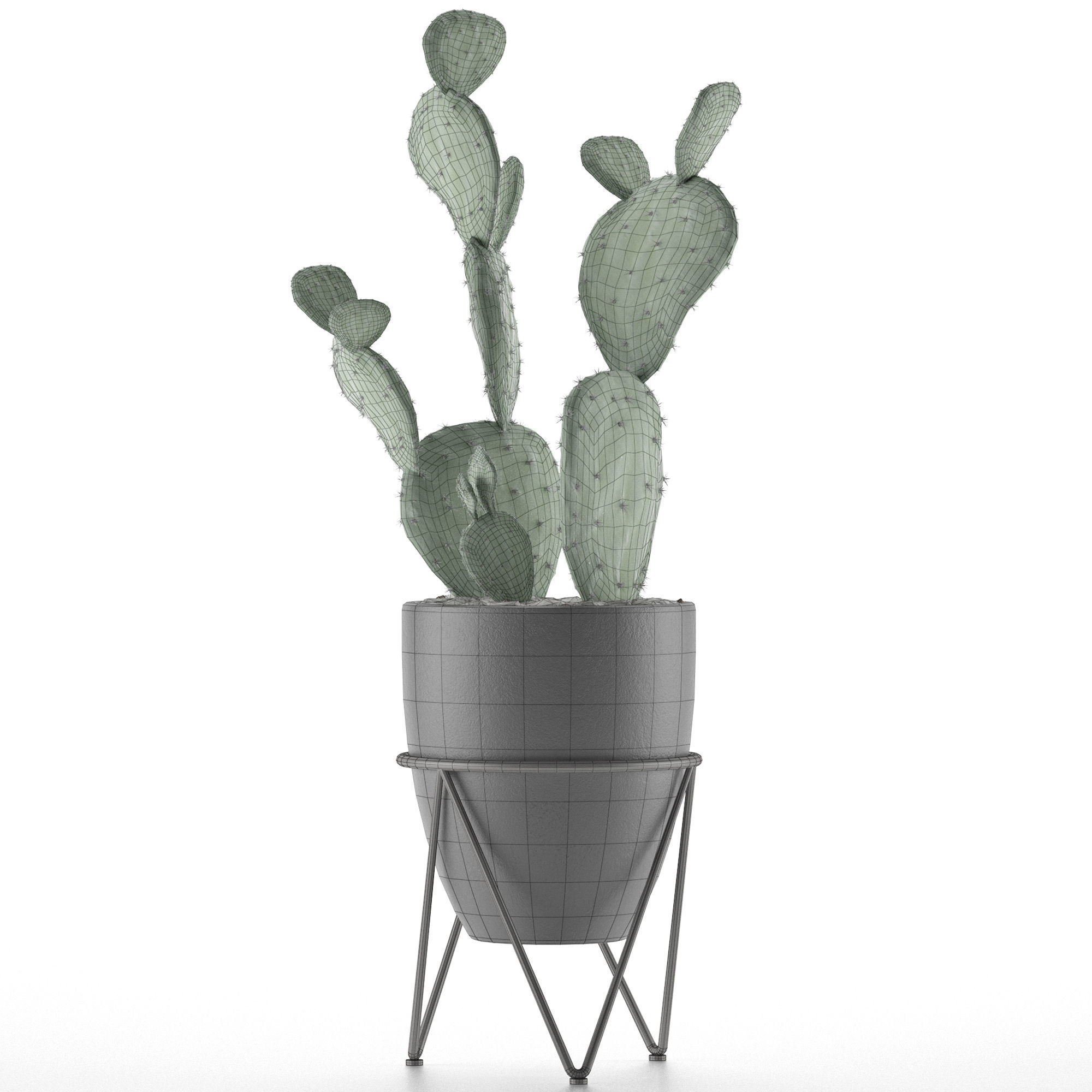 House Plant 33 3D model_5