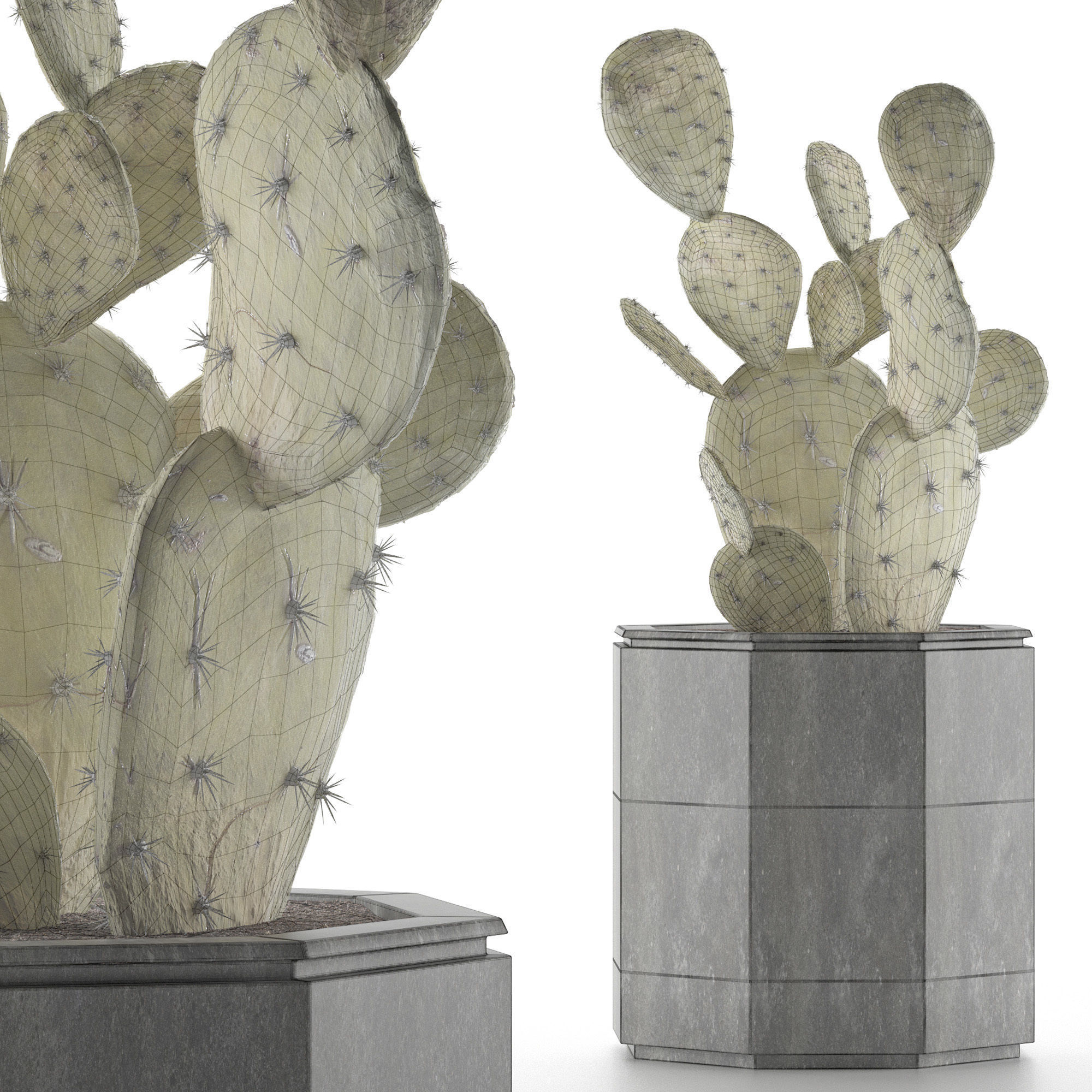 House Plant 34 3D model_5