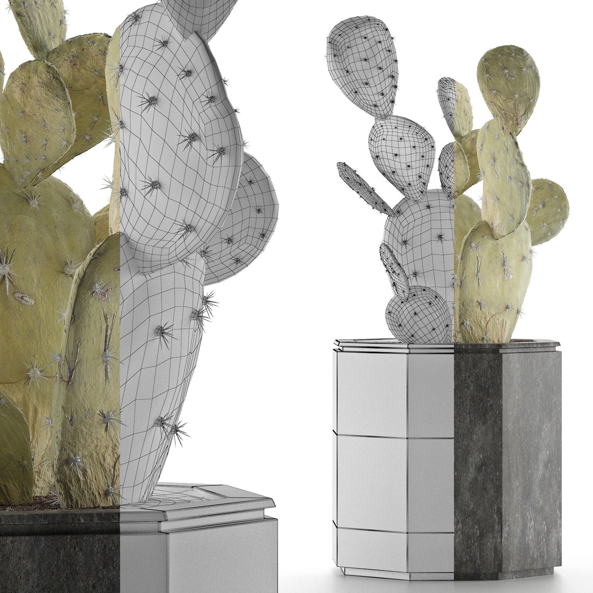 House Plant 34 3D model_6