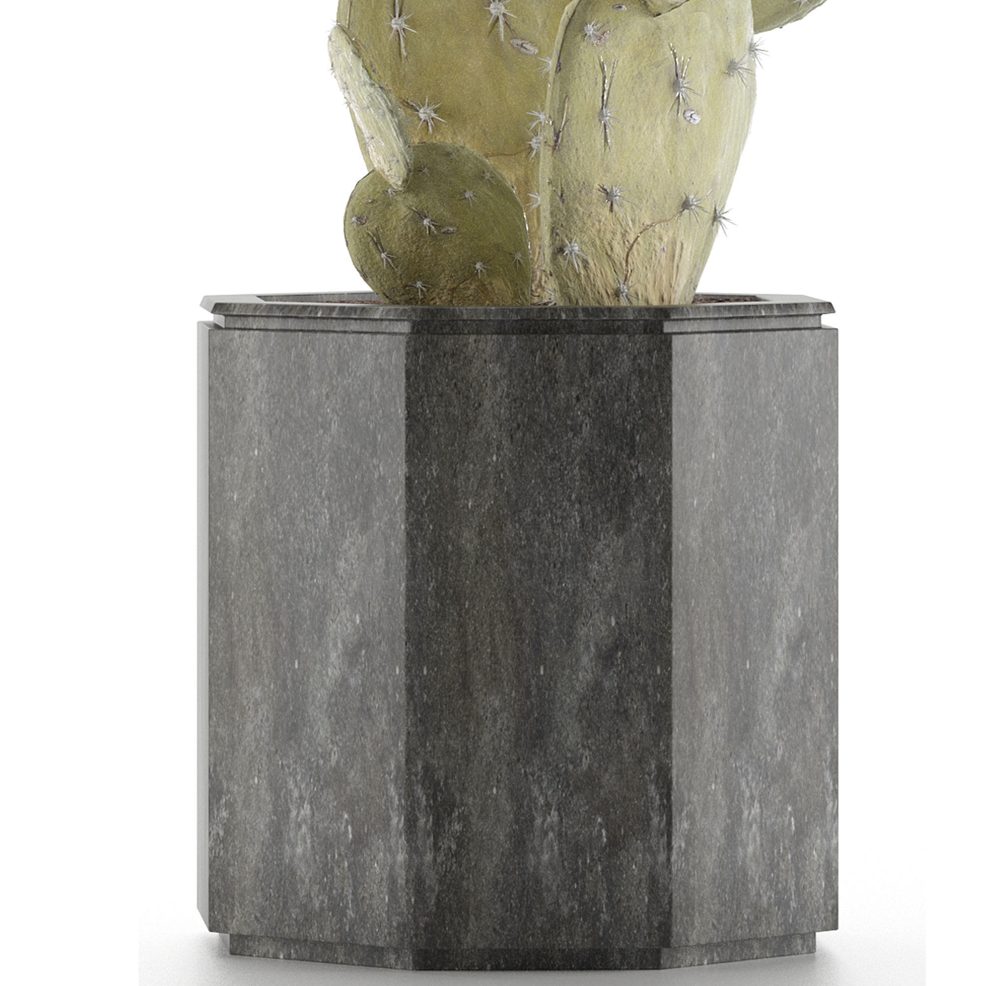 House Plant 34 3D model_2