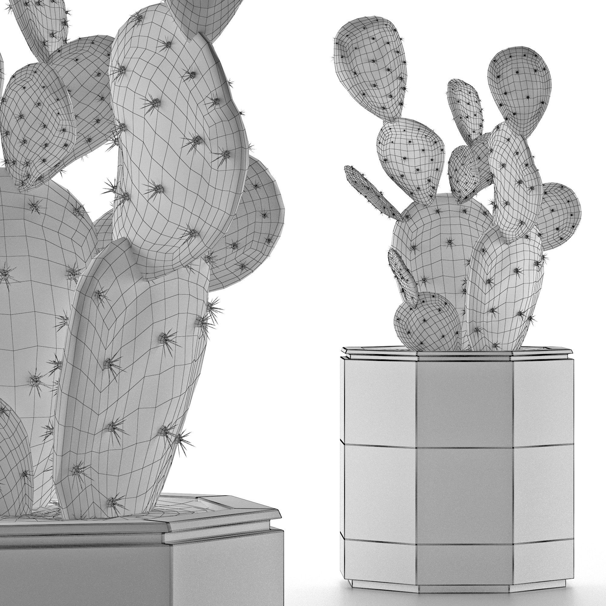 House Plant 34 3D model_4