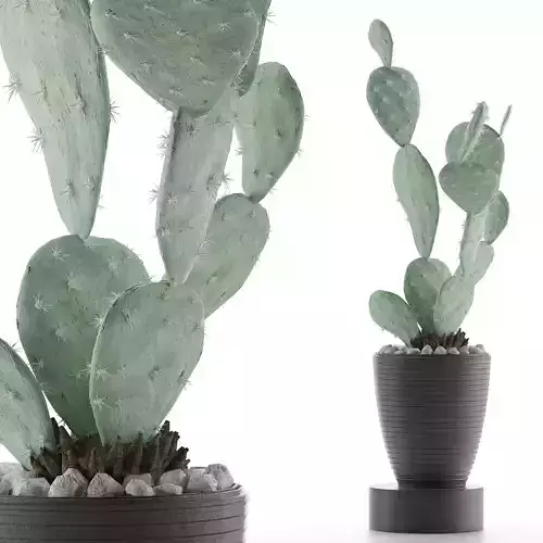House Plant 35 3D model