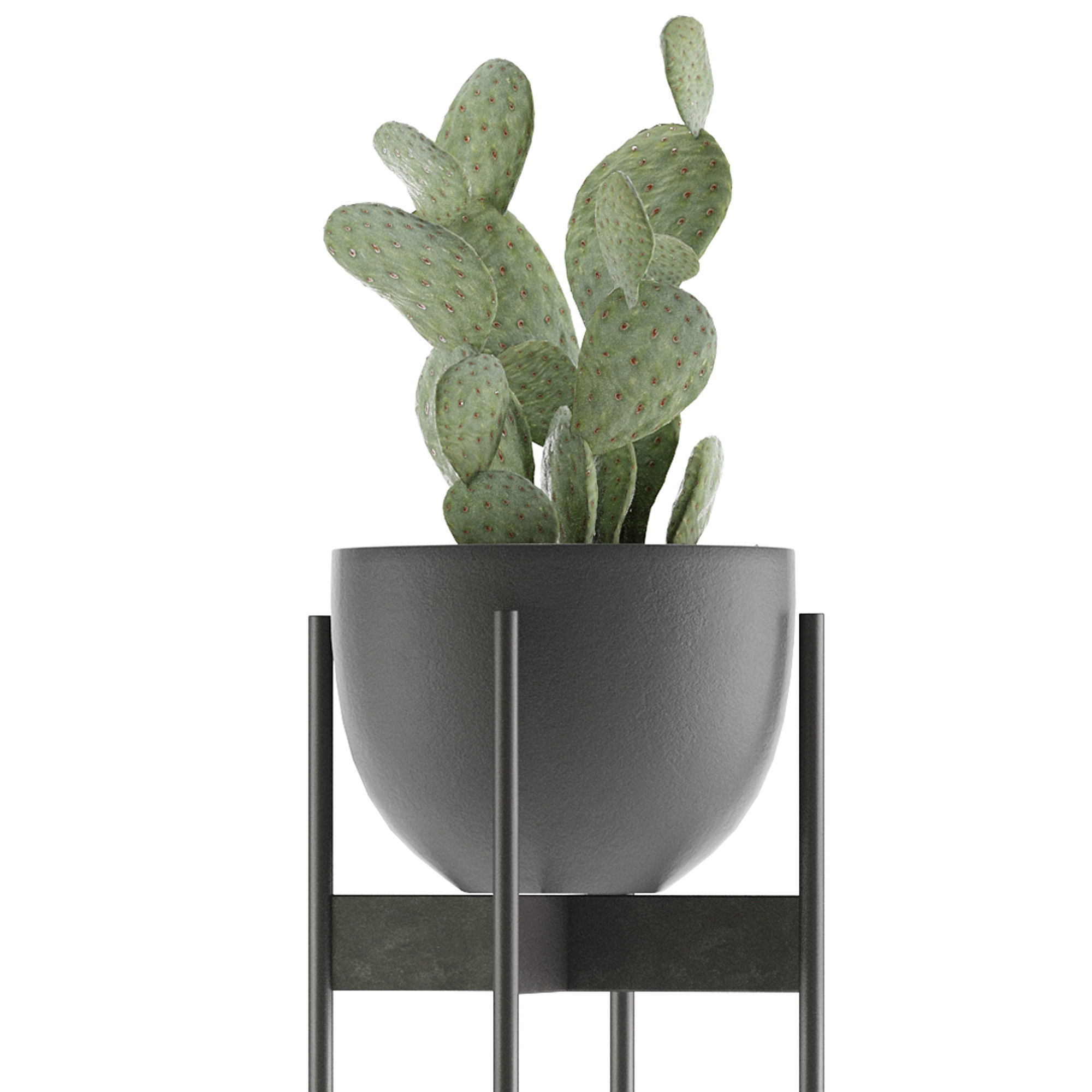 House Plant 36 3D model_3