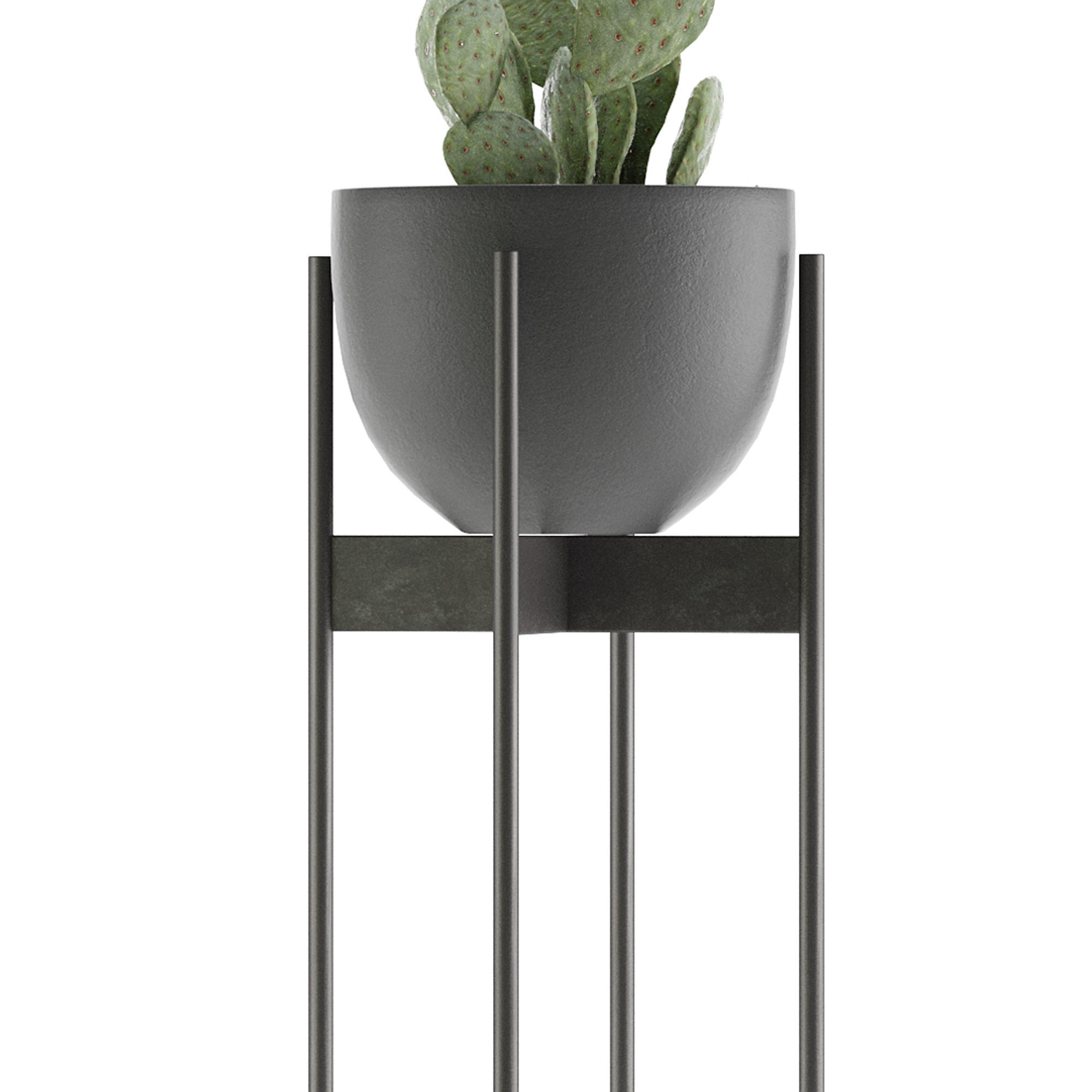 House Plant 36 3D model_2