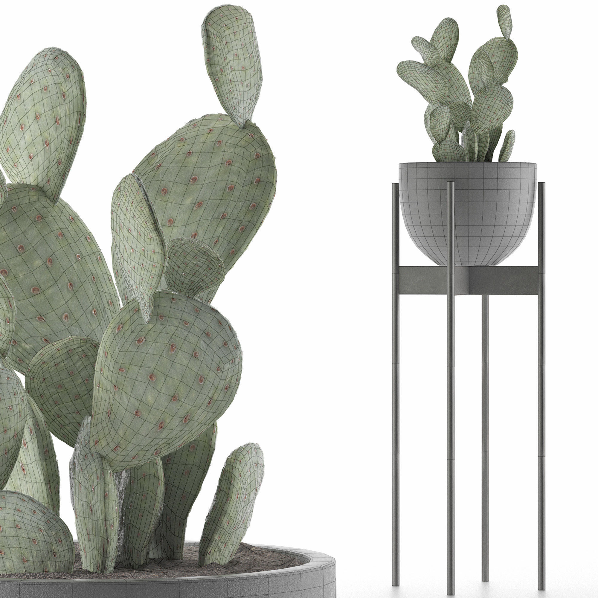 House Plant 36 3D model_5