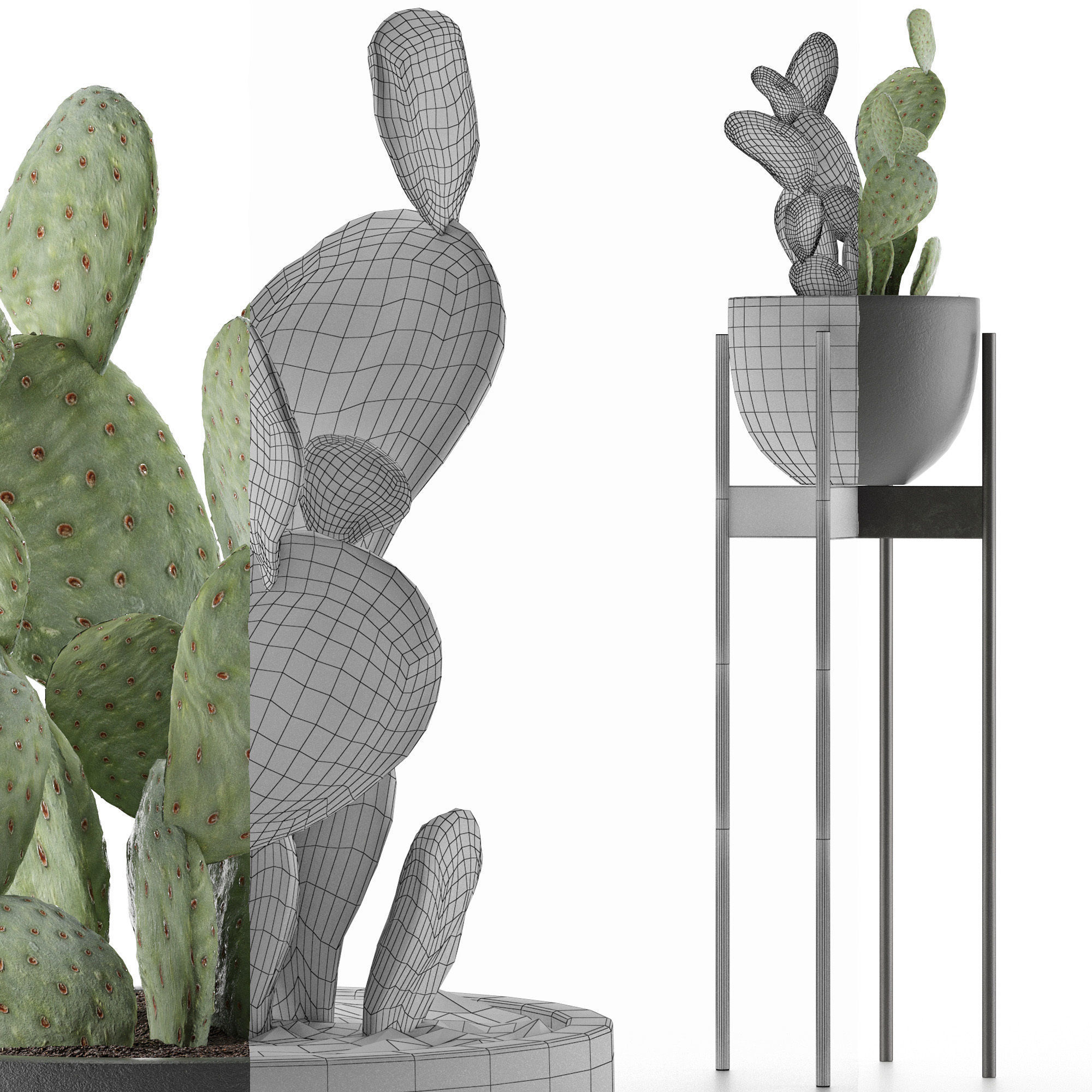 House Plant 36 3D model_6