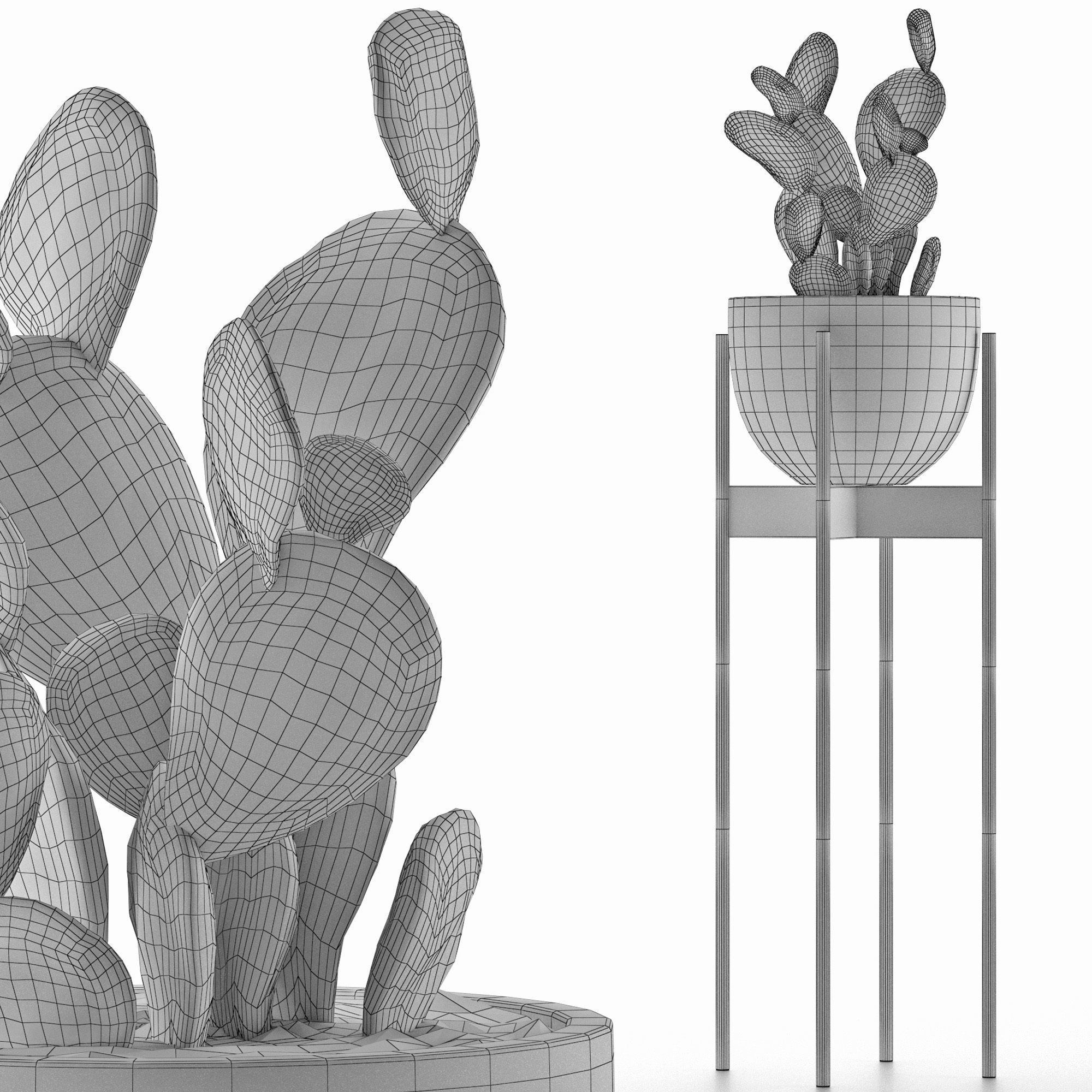 House Plant 36 3D model_4