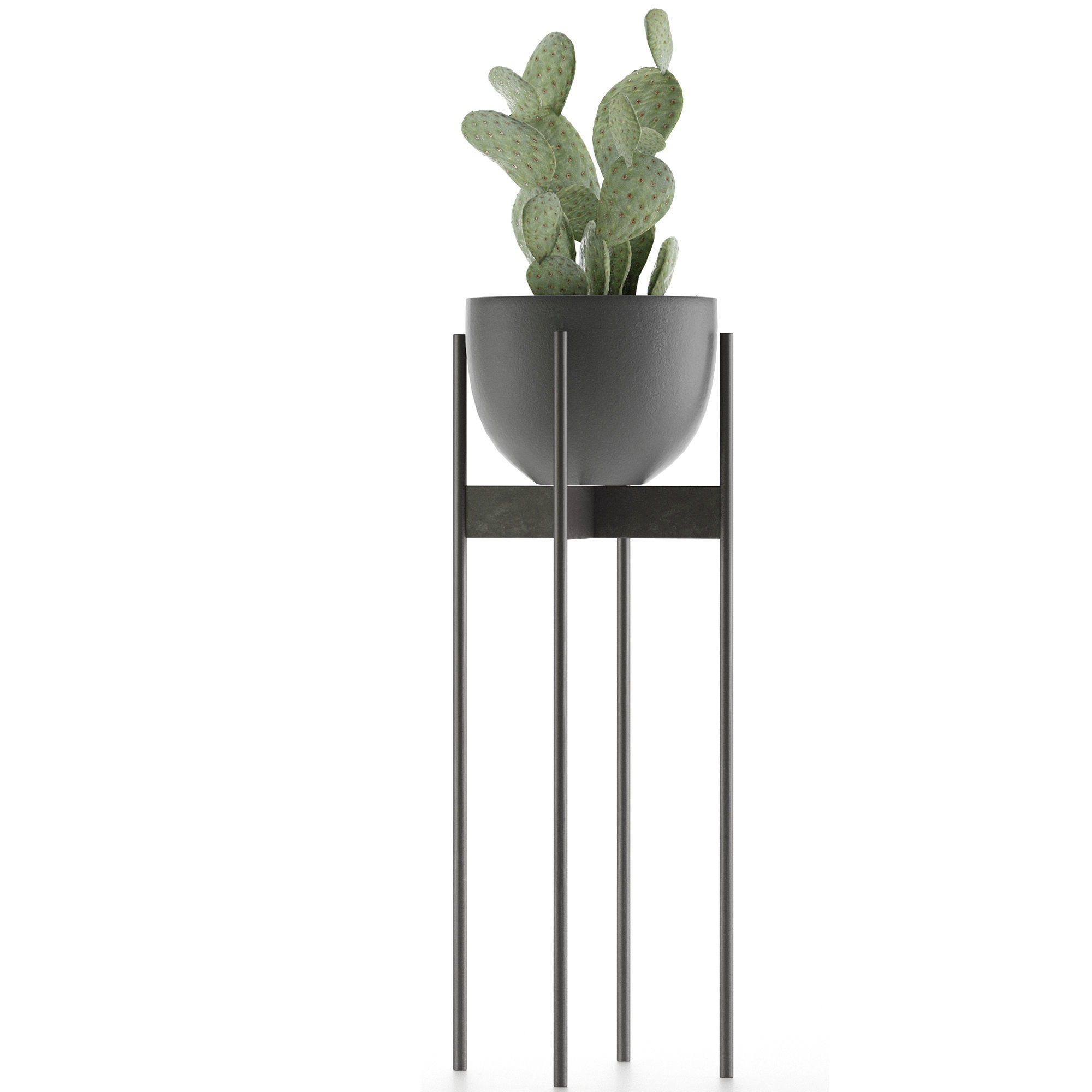 House Plant 36 3D model_1